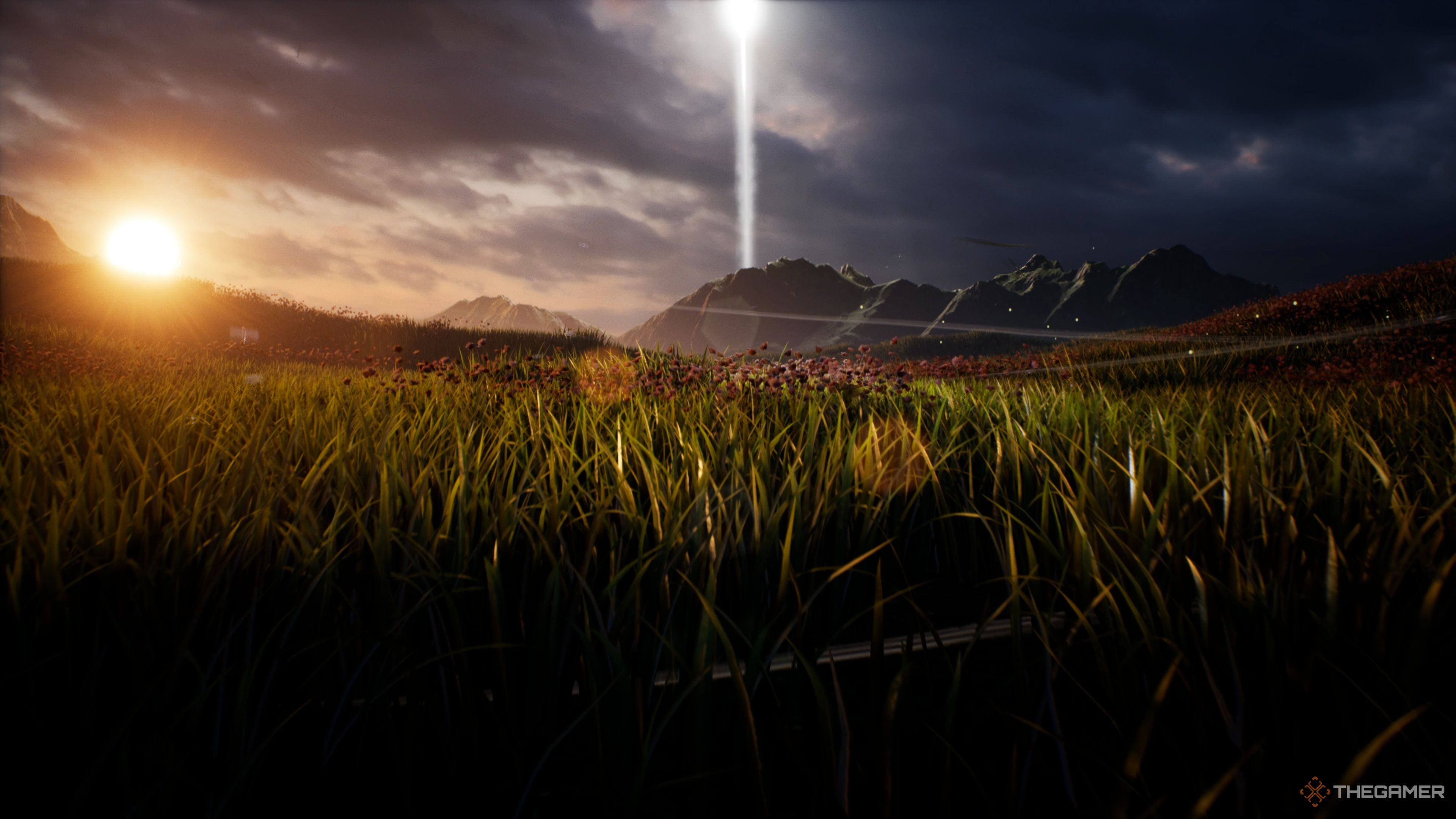The Field stage in Mortal Kombat 1.