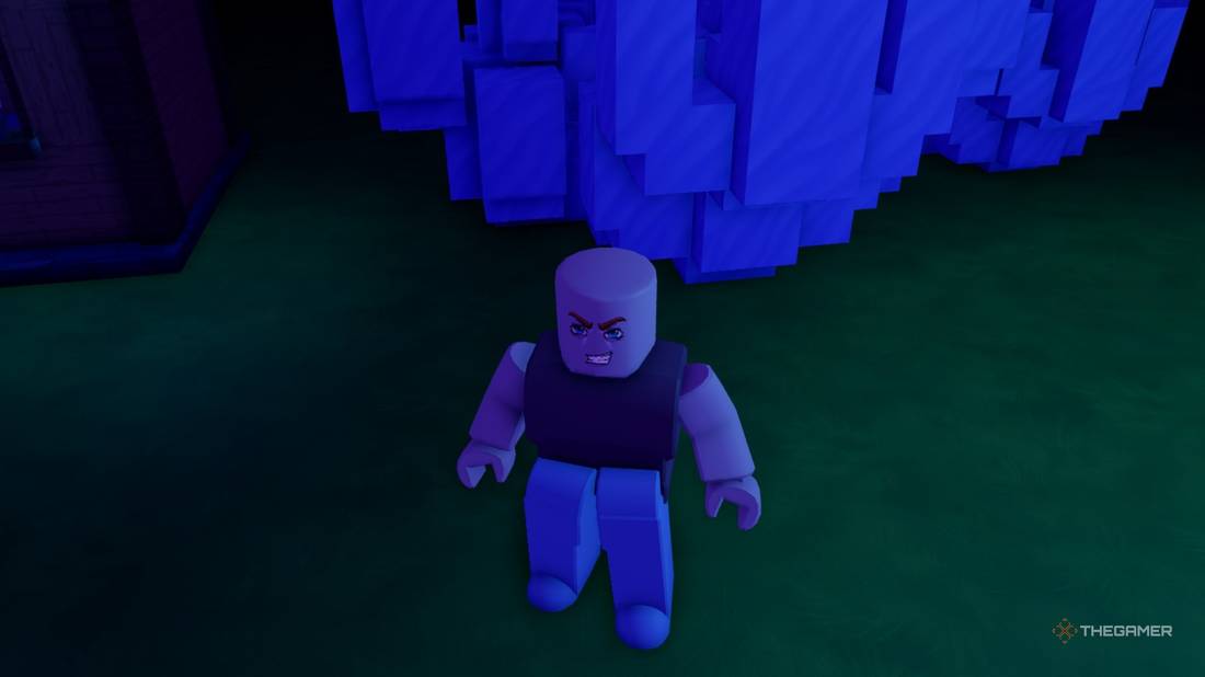 Fish's RNG Codes - Roblox
