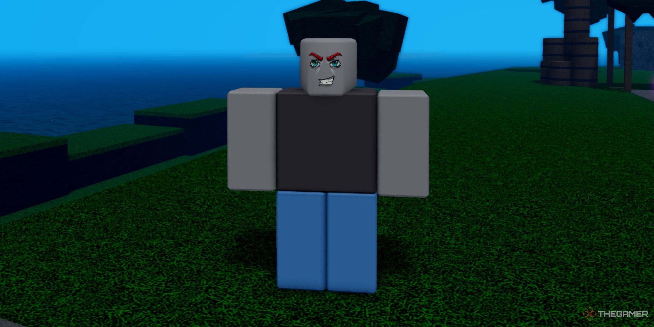 a player in Rage Seas on Roblox