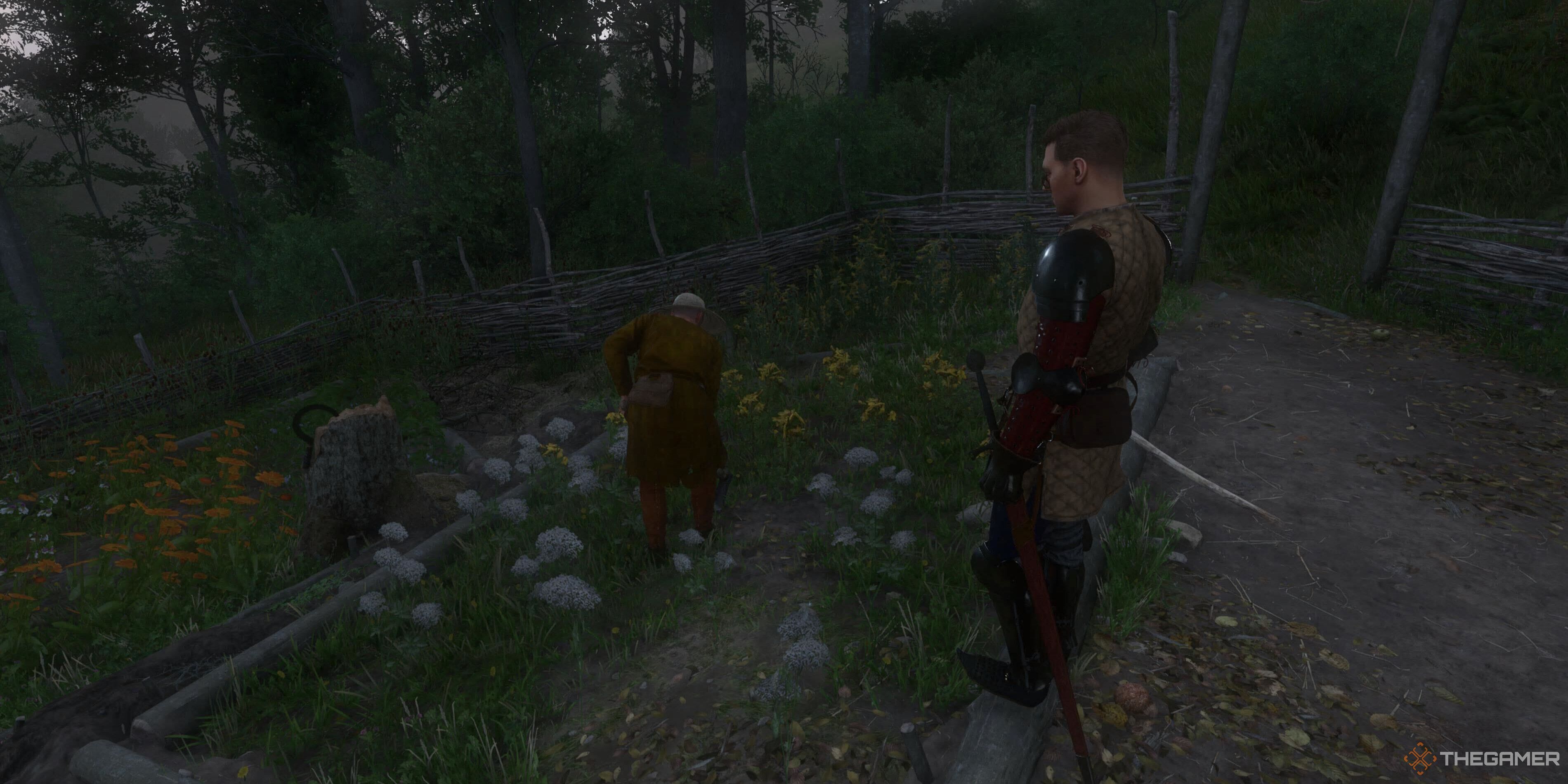 Henry talking to a herbalist in Kingdom Come: Deliverance 2.