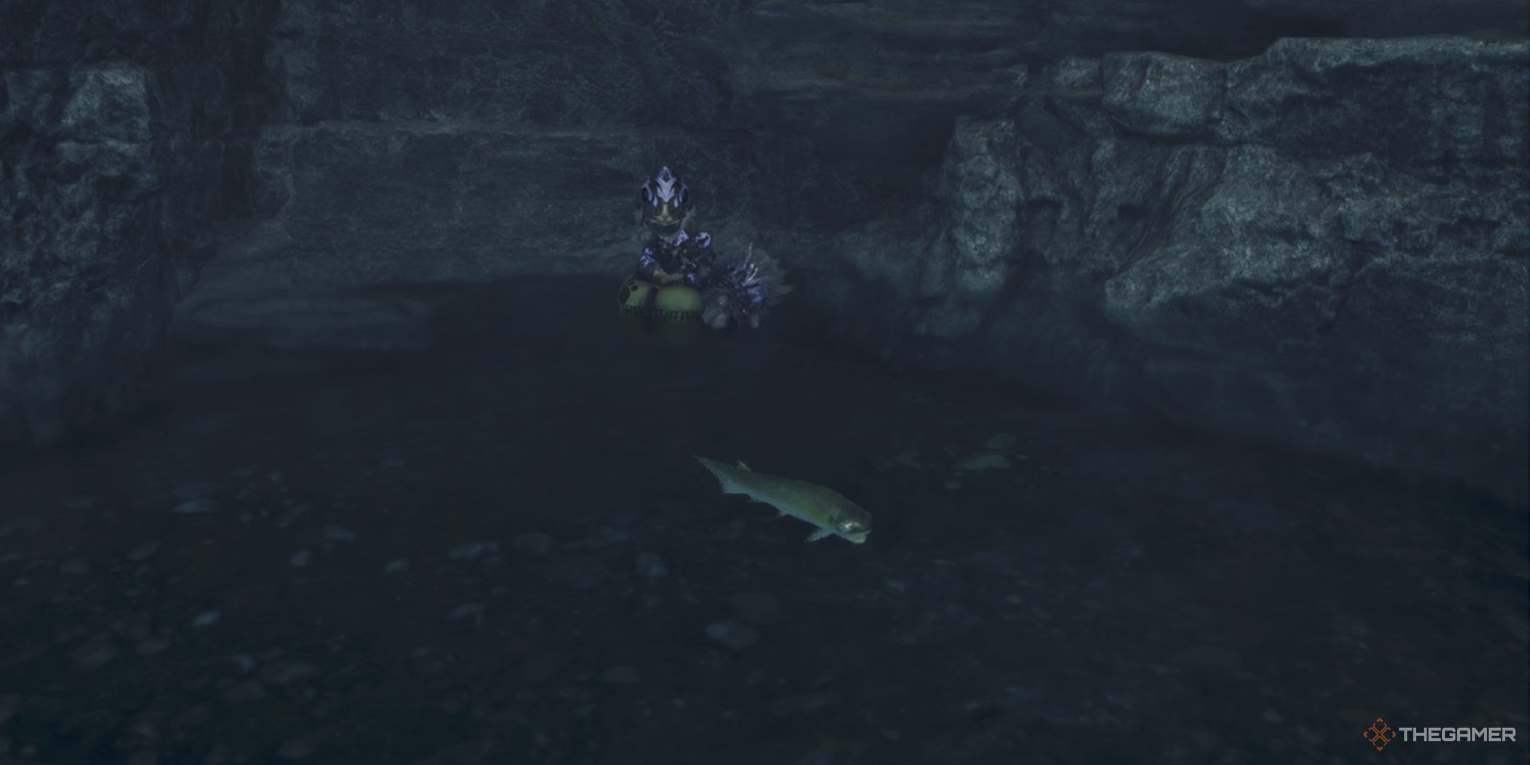 a palico on a floating mechanism looking at a fish in a cave in monster hunter wilds.