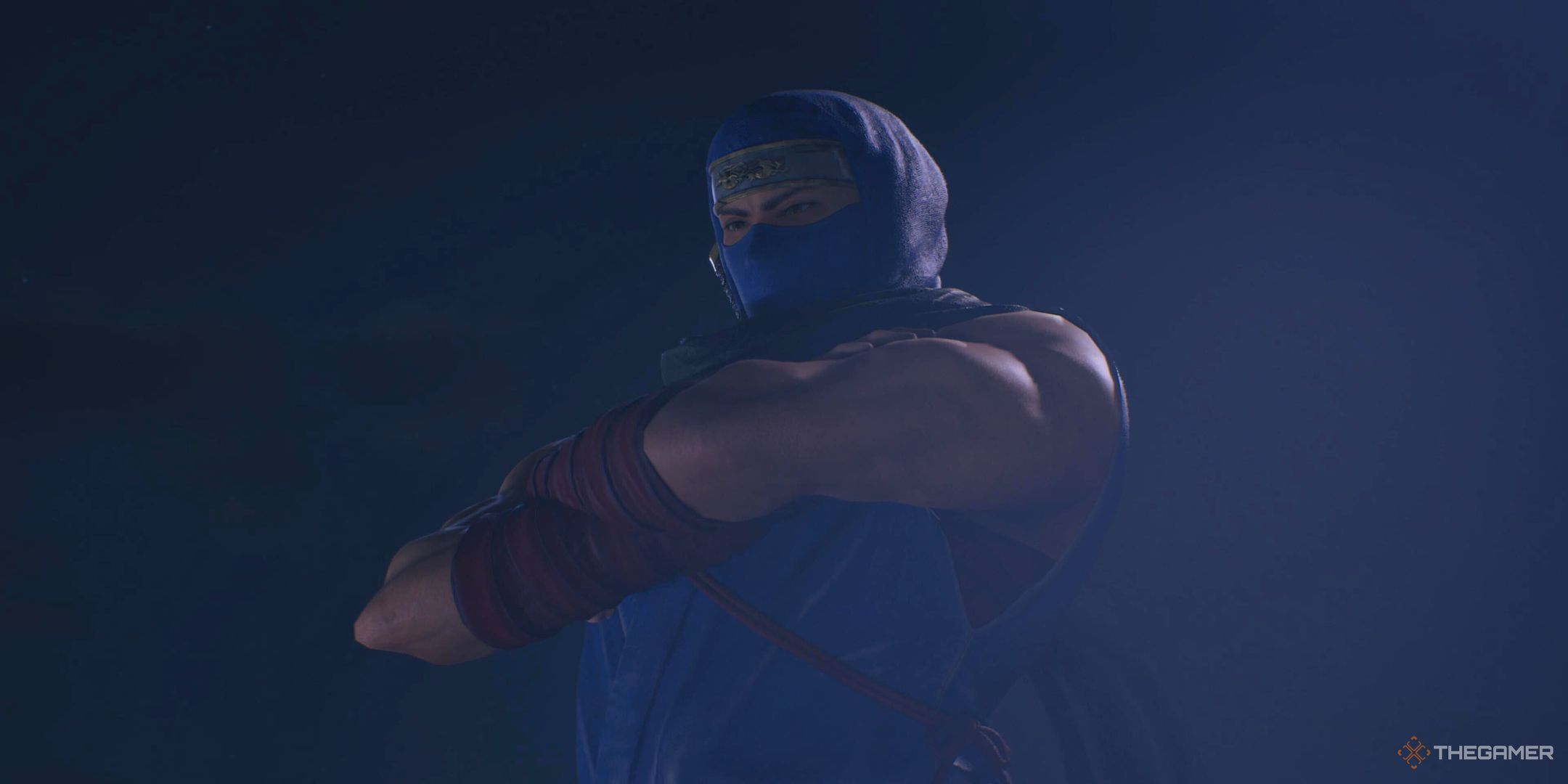Ryu in his training gear in Ninja Gaiden 2 Black.