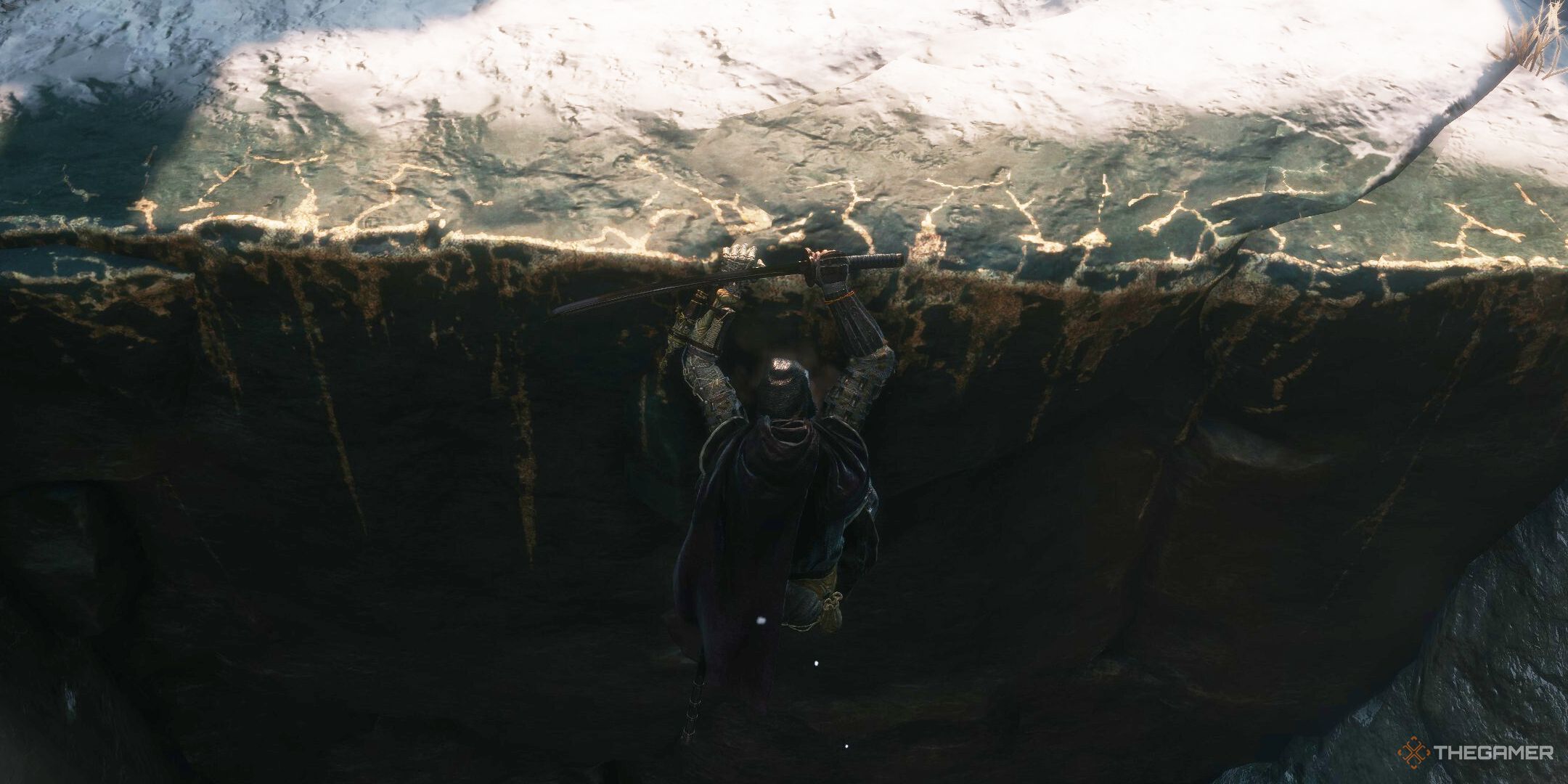 Sekiro character hanging from a ledge.