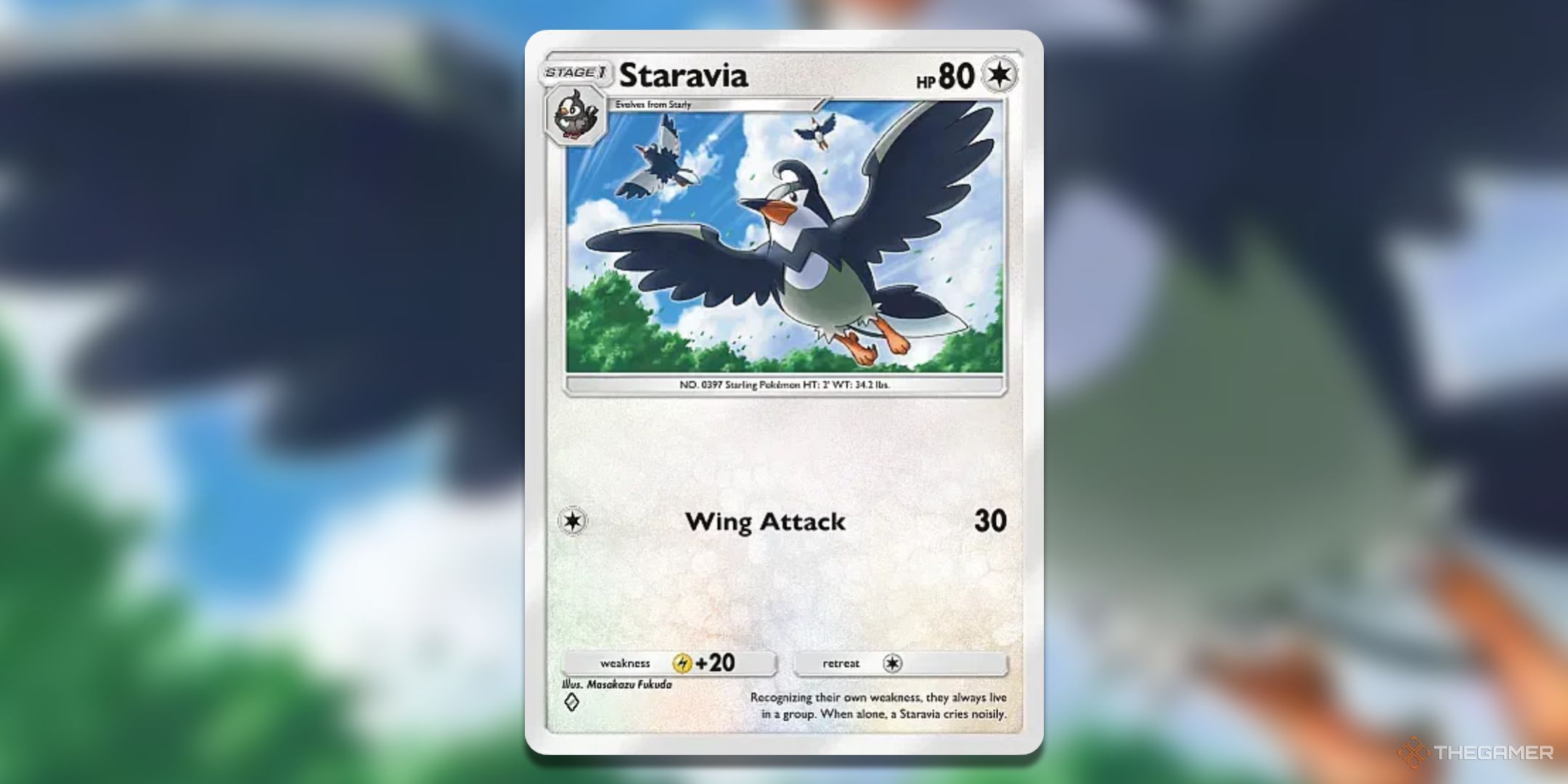 Staravia Pokemon TCG Pocket Triumphant Light Card Art.