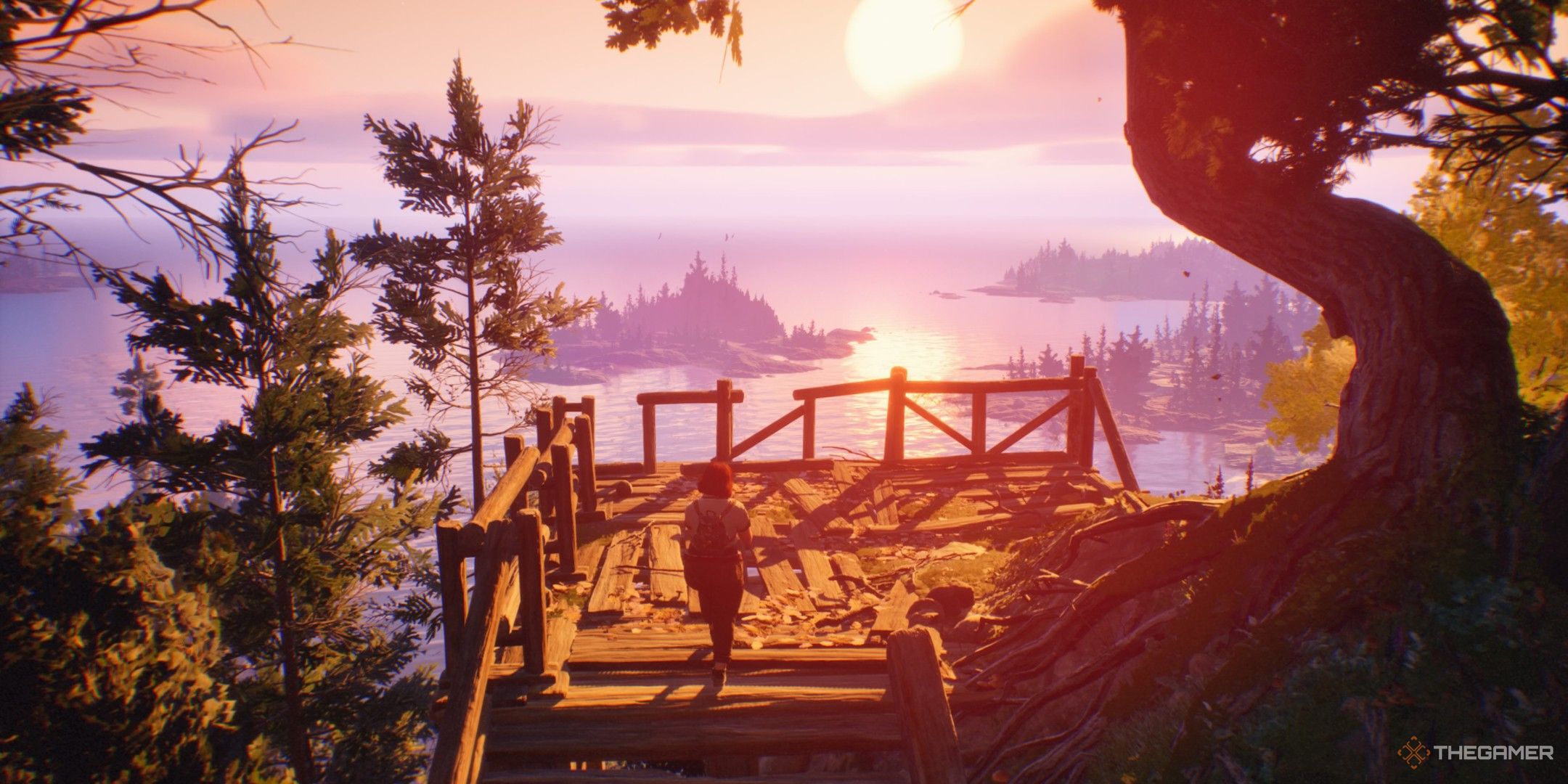 Swann steps out onto the pier in Lost Records Bloom &amp; Rage.