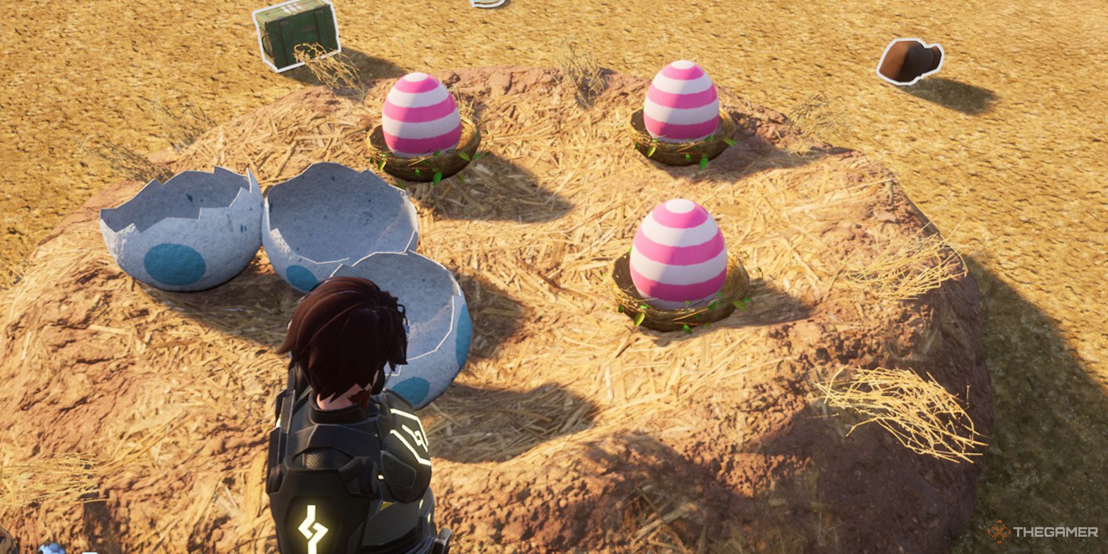 The player finds a Direhowl nest and standing near three eggs in Palworld