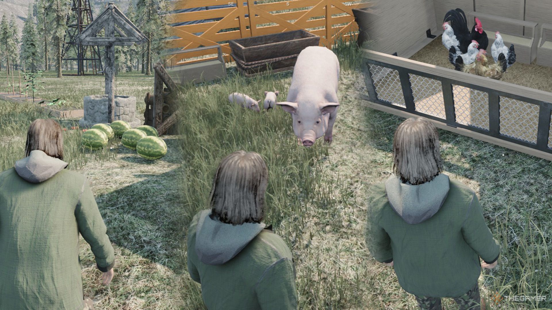 The player is looking at watermelons on the left, pigs in the middle, and chickens on the right in Ranch Simulator