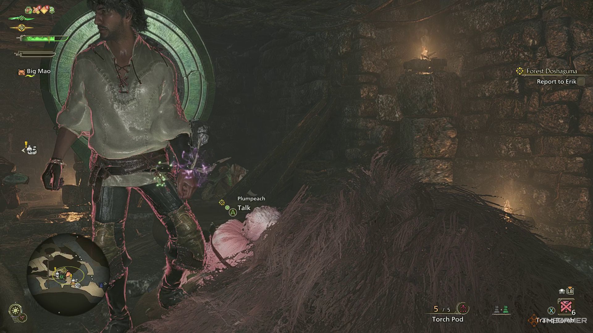 The image shows the Hunter approaching Plumpeach in the Wudwud Hideout in Monster Hunter Wilds.
