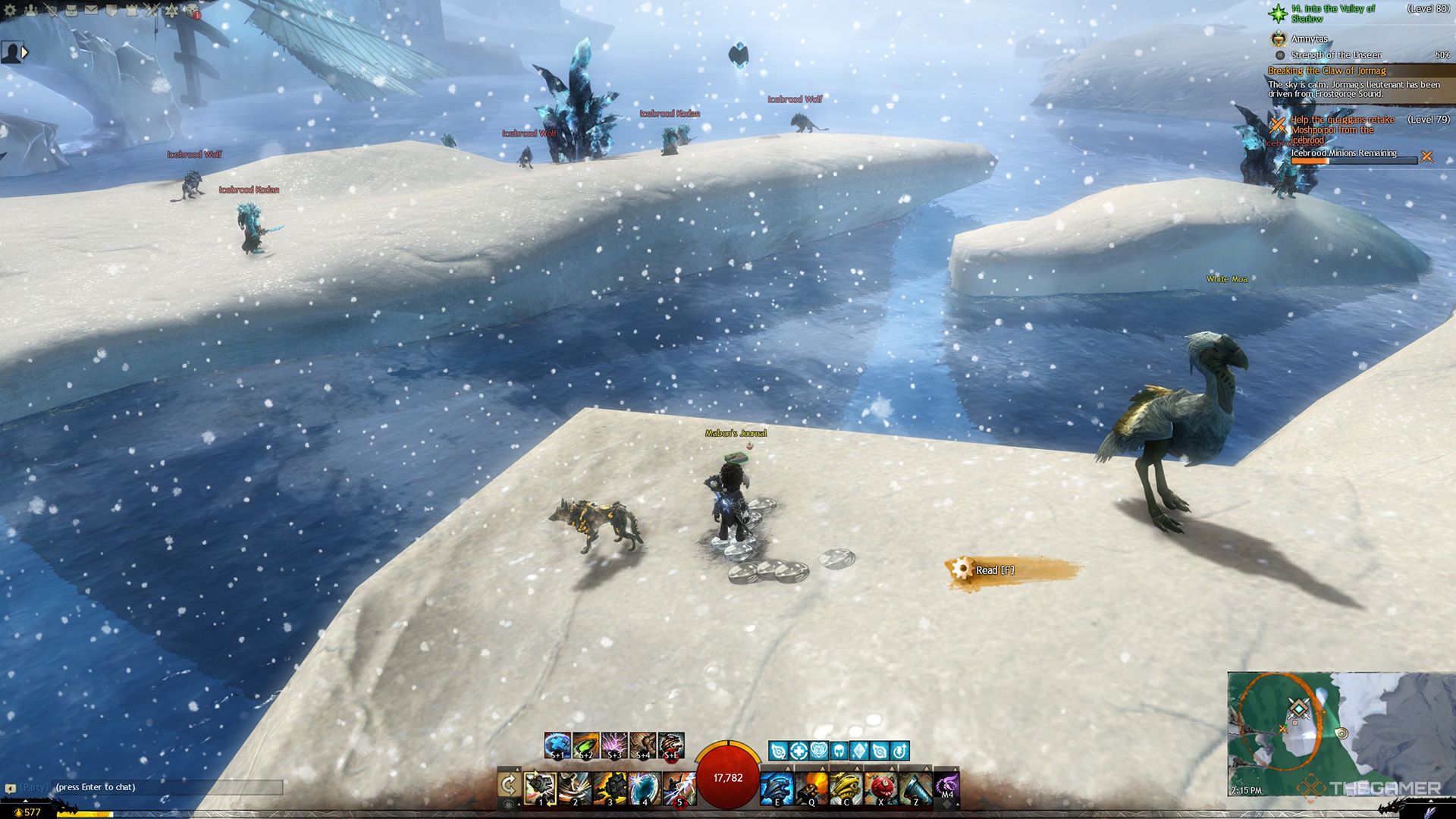 این بازیکن که به مجله Mabon در Guild Wars 2 نگاه می کند.