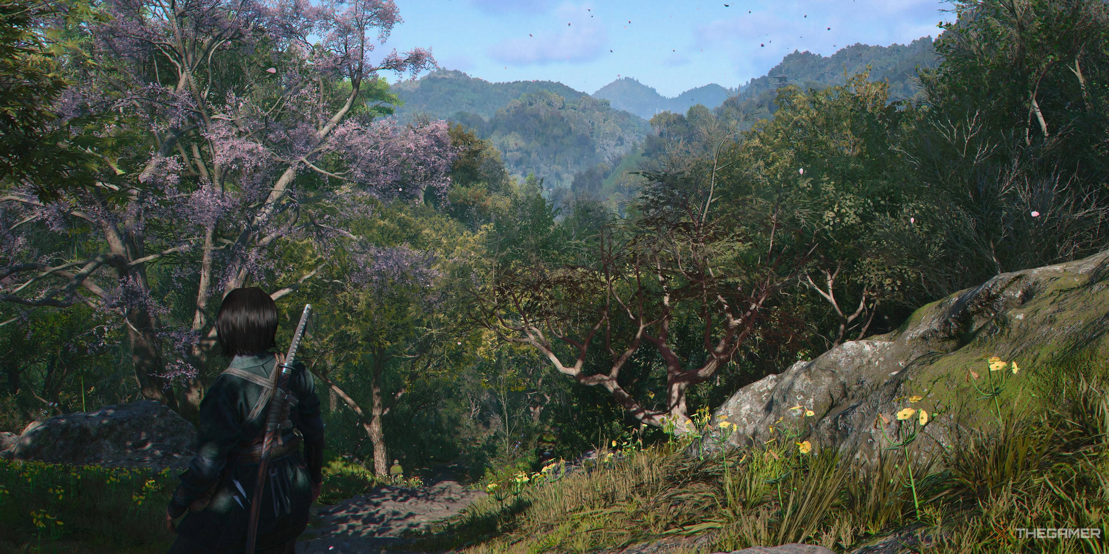 Assassin&rsquo;s Creed Shadows Fujibayashi Naoe in forest in Japan looking to distance.