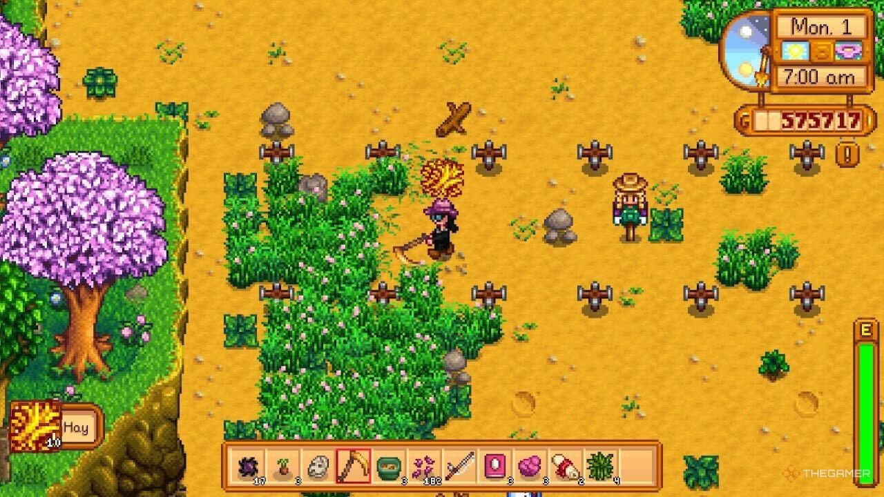 Being grass in the Househi Valley using a skit on the grass.