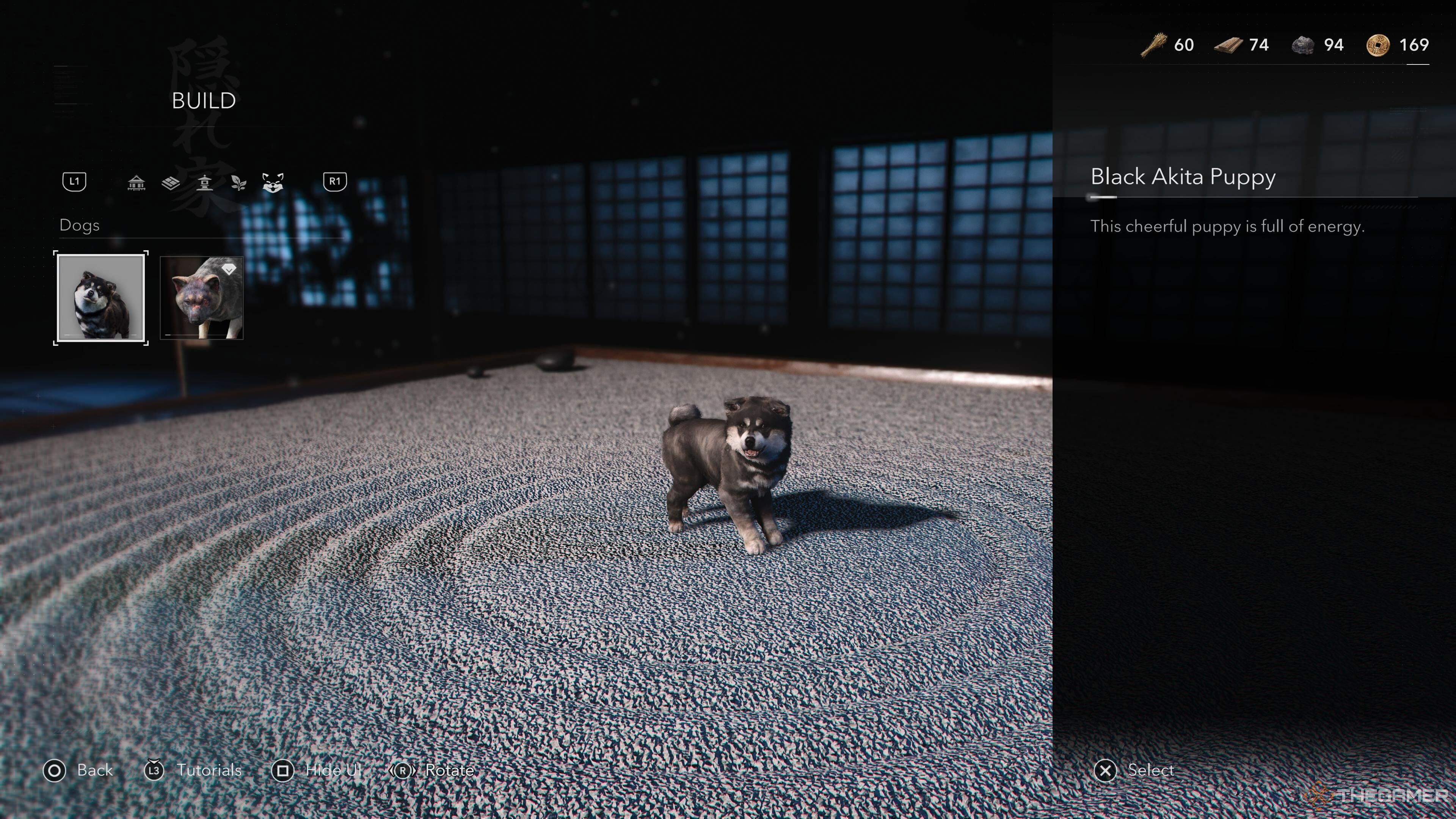 A hideout dog in the shadow of the killer's profession.
