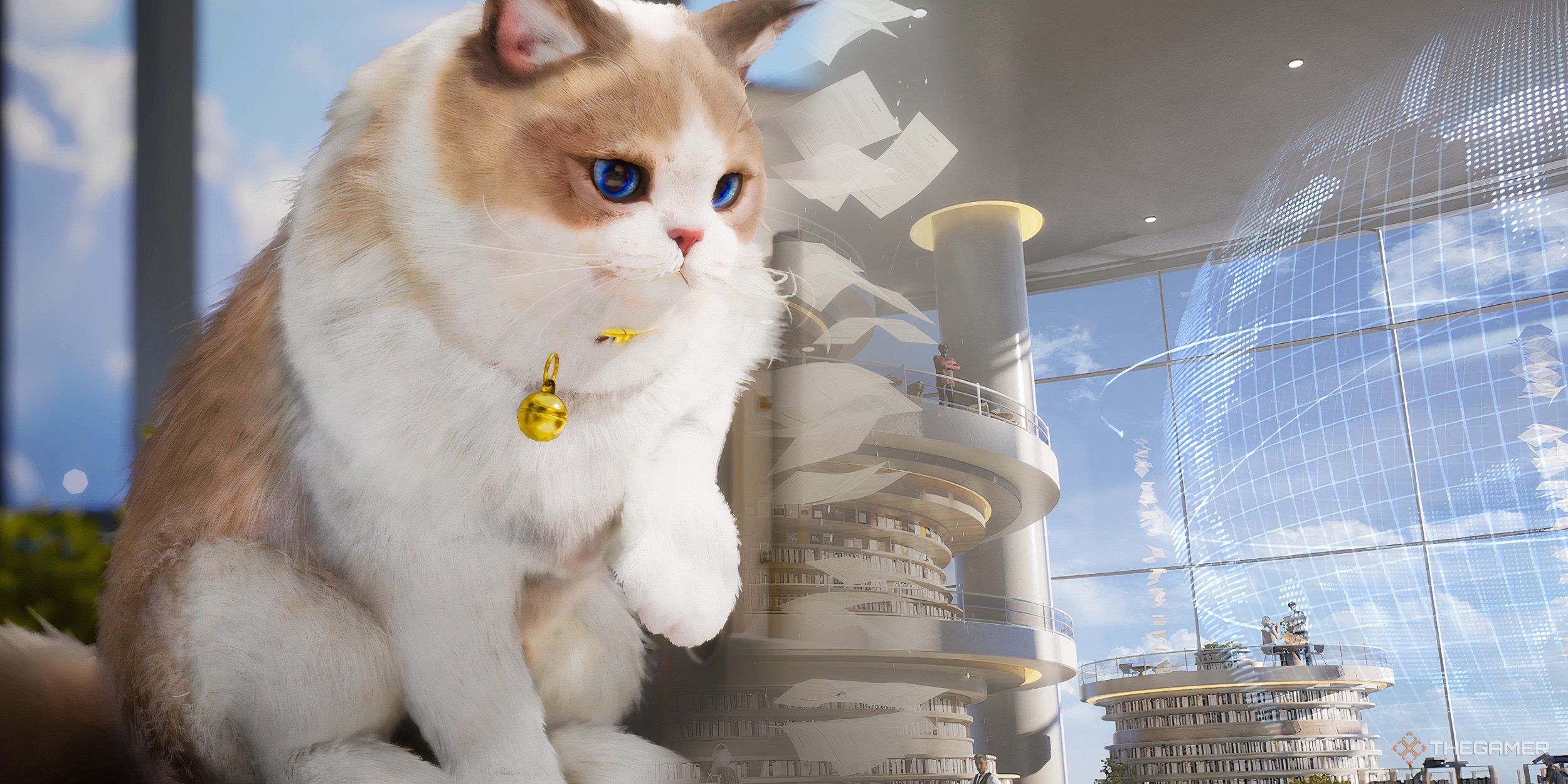A cat staring into the distance.
