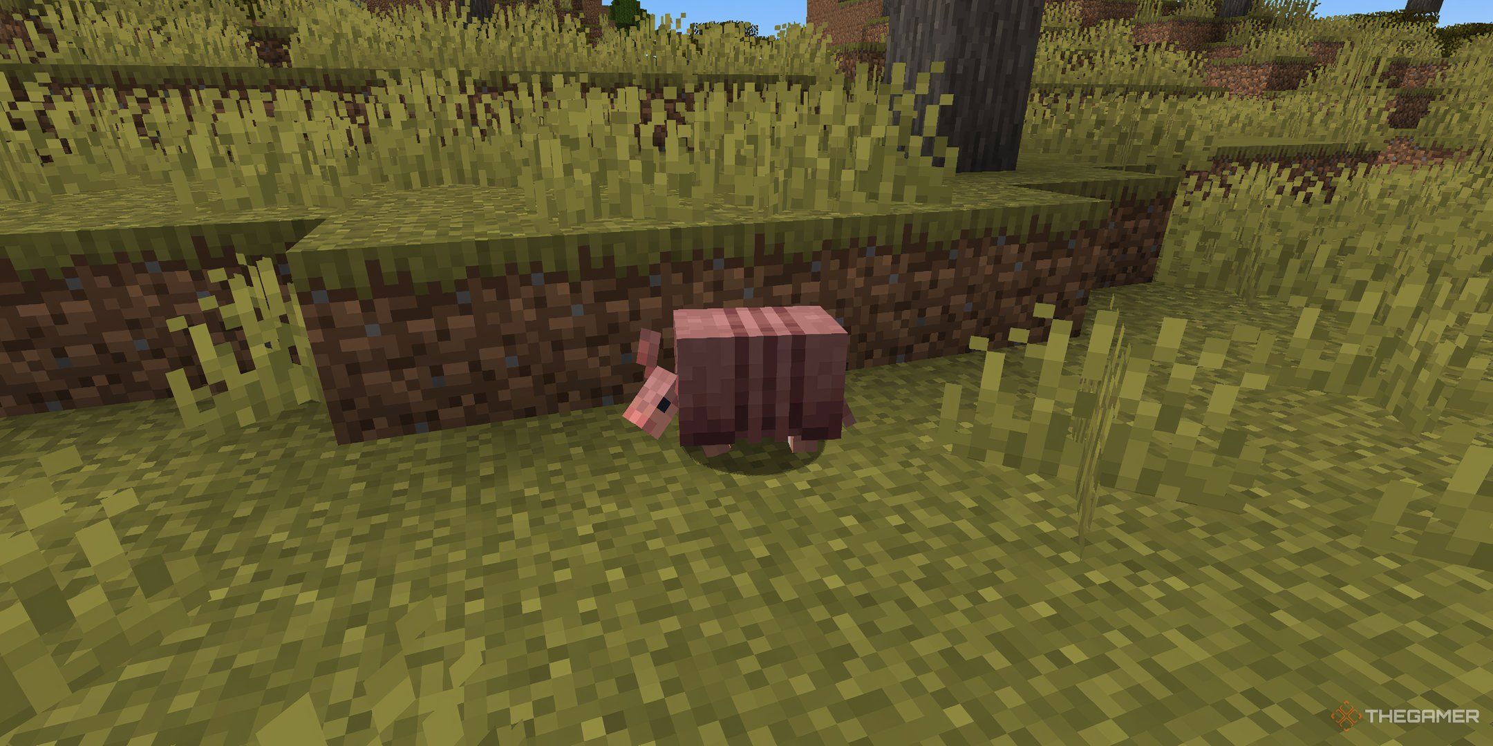 An Armadillo in Minecraft.