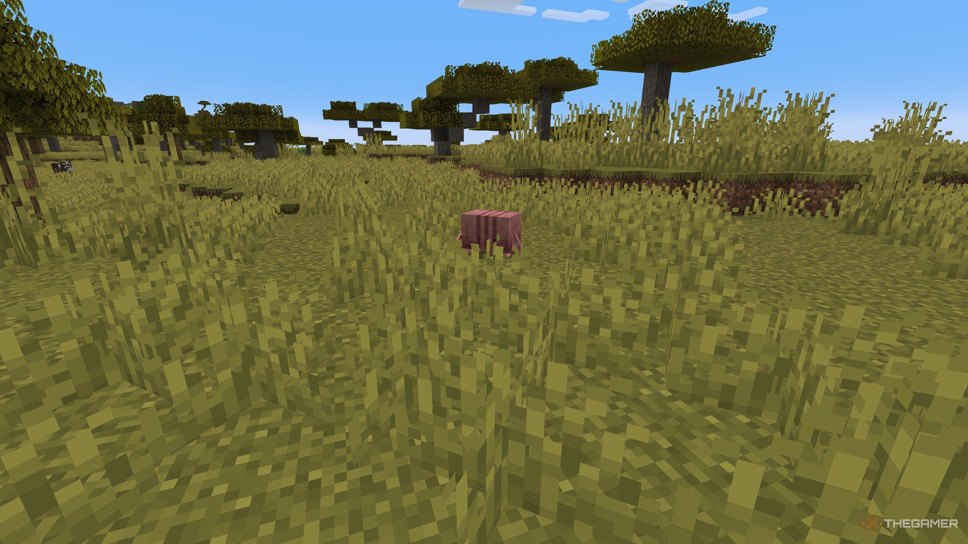 یک آرمادیلو در Minecraft به دور از بازیکن.