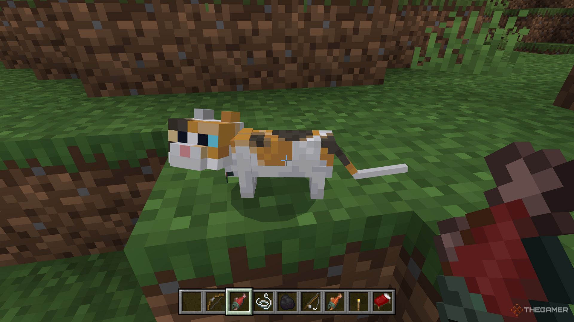 Minecraft screenshot of player with a fish, giving it to a cat.