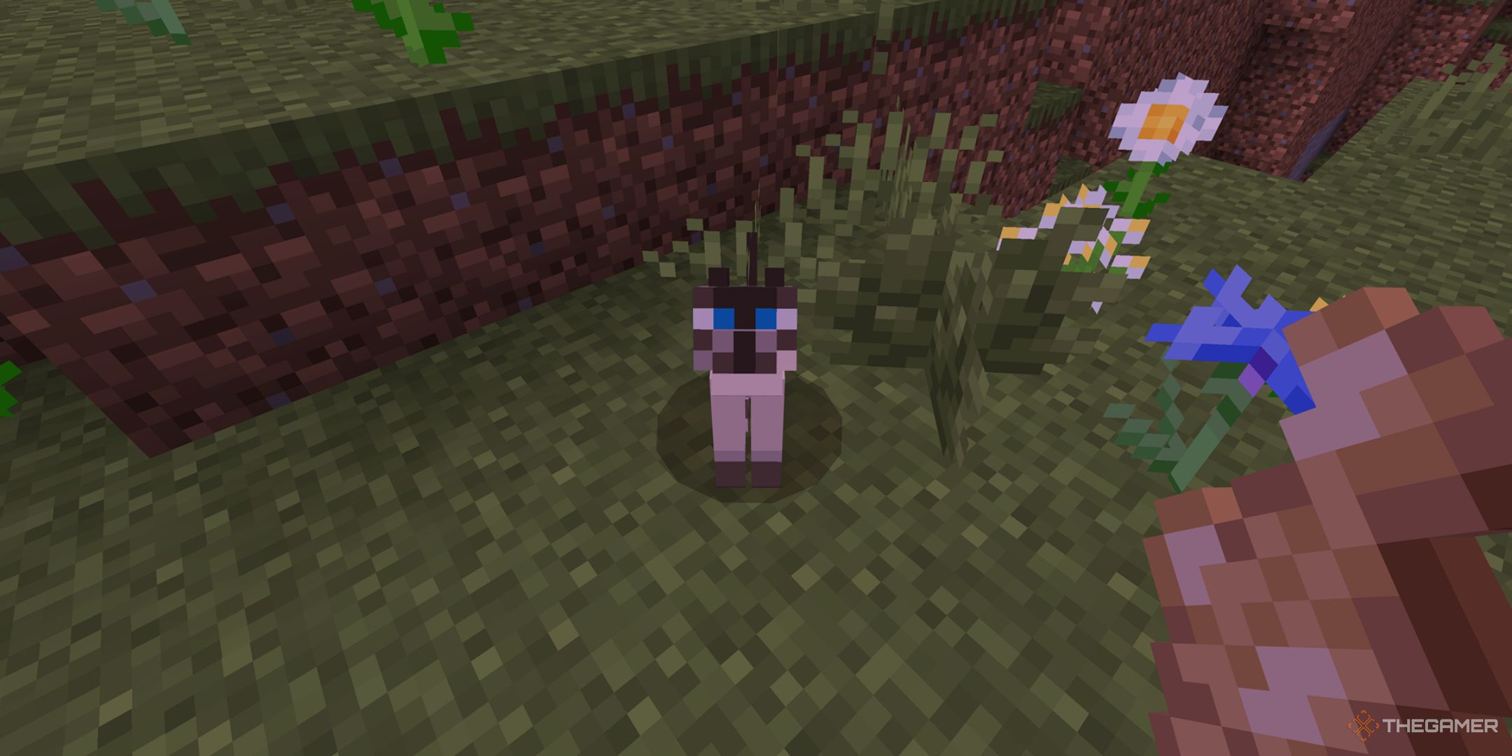Minecraft screenshot of the player holding a fish, while looking at a cat.
