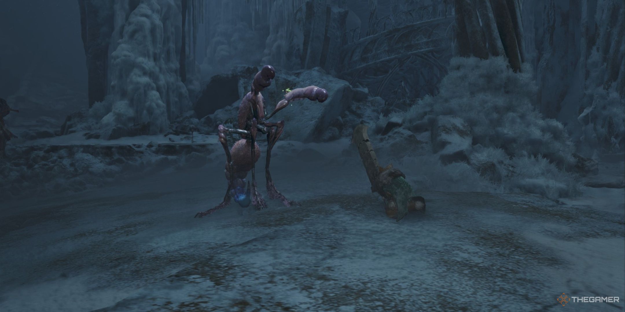 A palico facing a Comaqchi in monster hunter wilds.