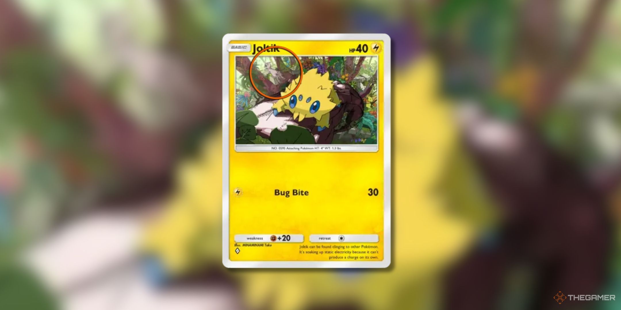 Pokémon Trading Card Game Pocket Jololic is a diamond card highlighting the hidden Mayo.