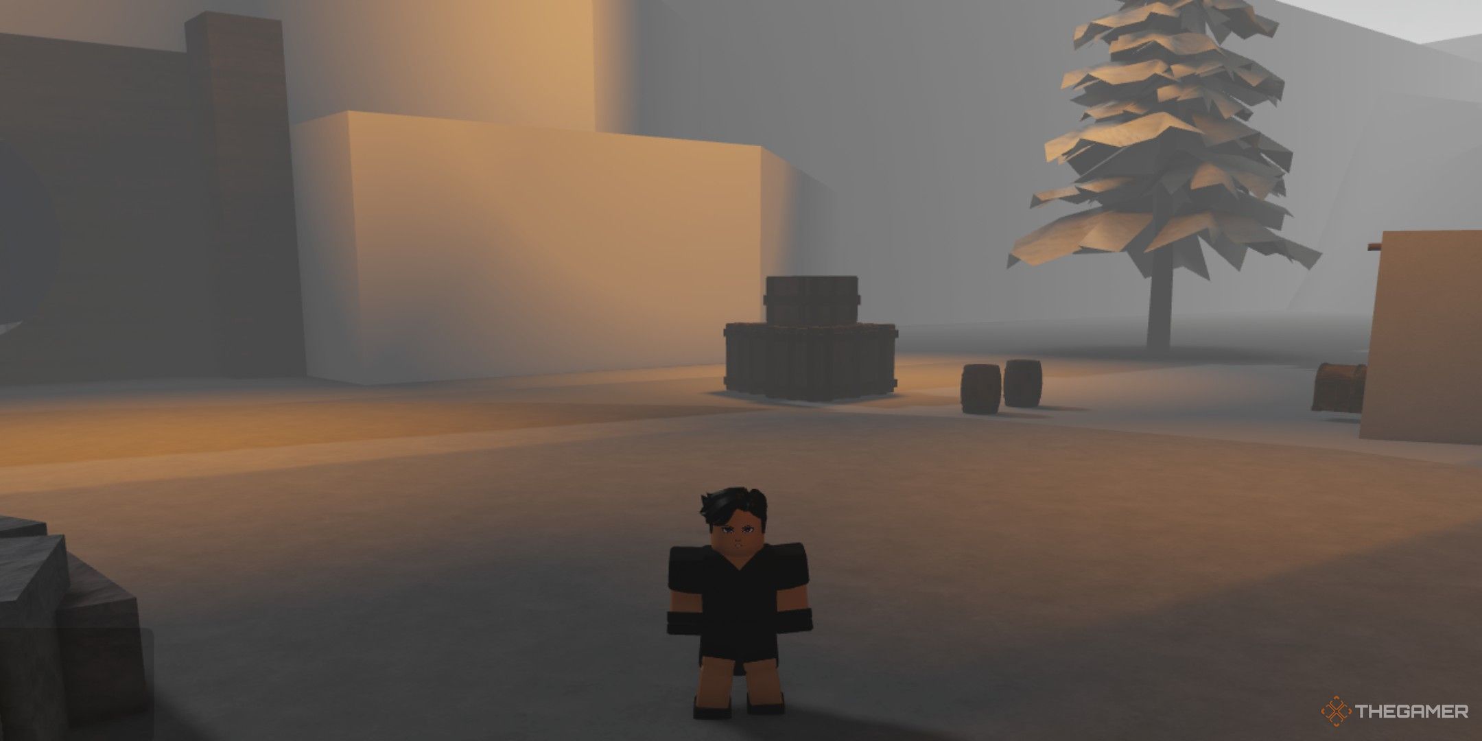 a player in Elemental Odyssey on Roblox