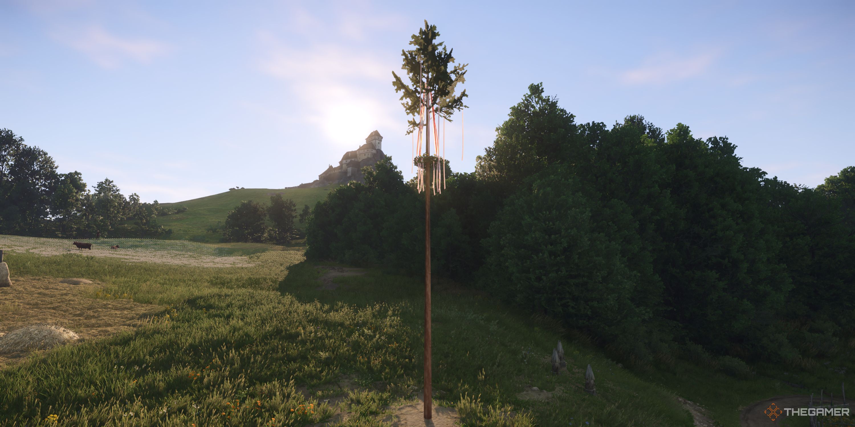 Henry standing in front of Tachov village's maypole.