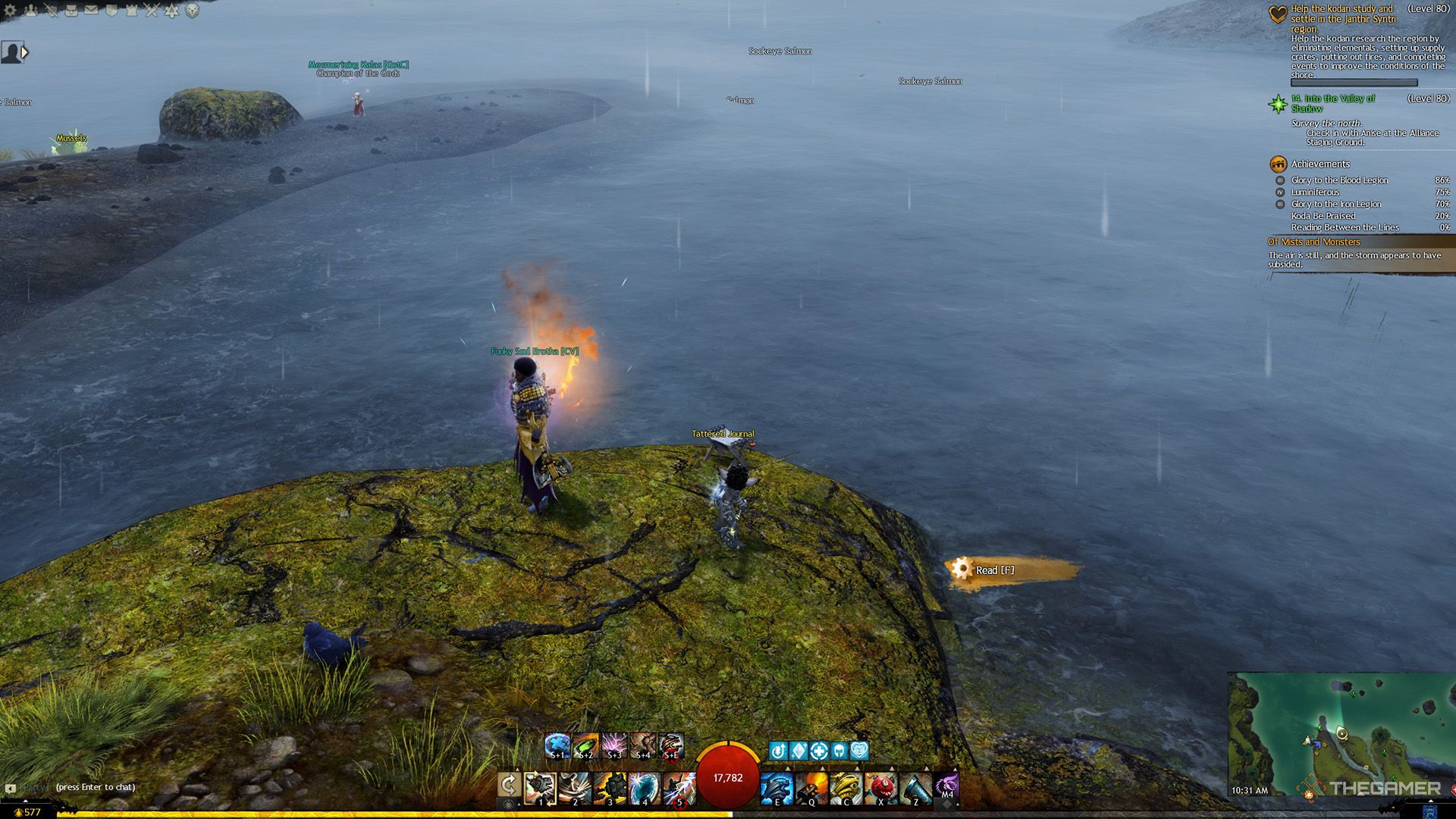 Views around the first scattered journal on the map in Guild War 2.