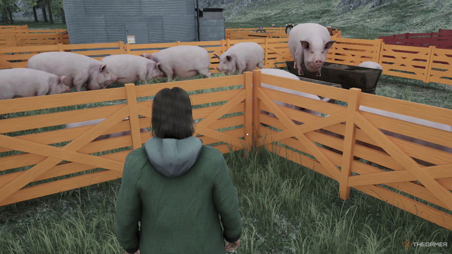 The player is looking at the pigs behind the orange fences in Ranch Simulator