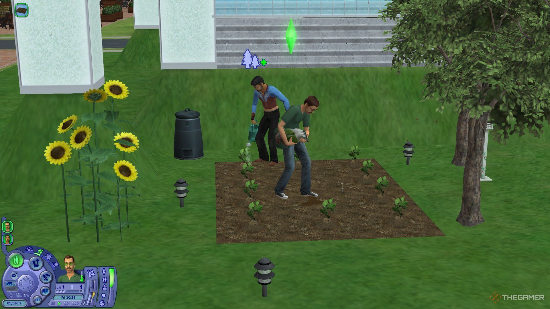 A Sim watering plants while his husband fertilises them in a garden in The Sims 2.