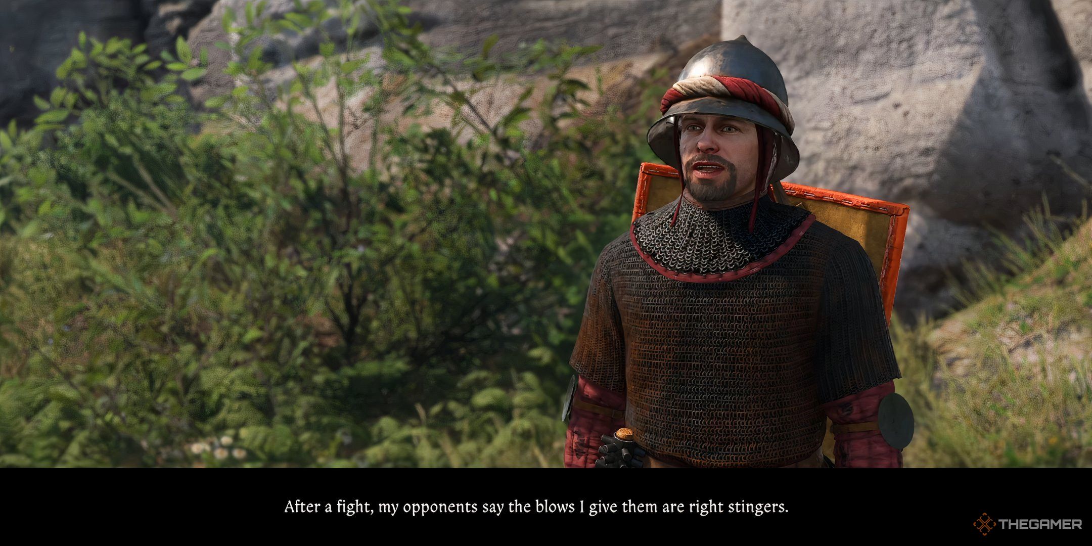 Hornet in kingdom come deliverance 2.