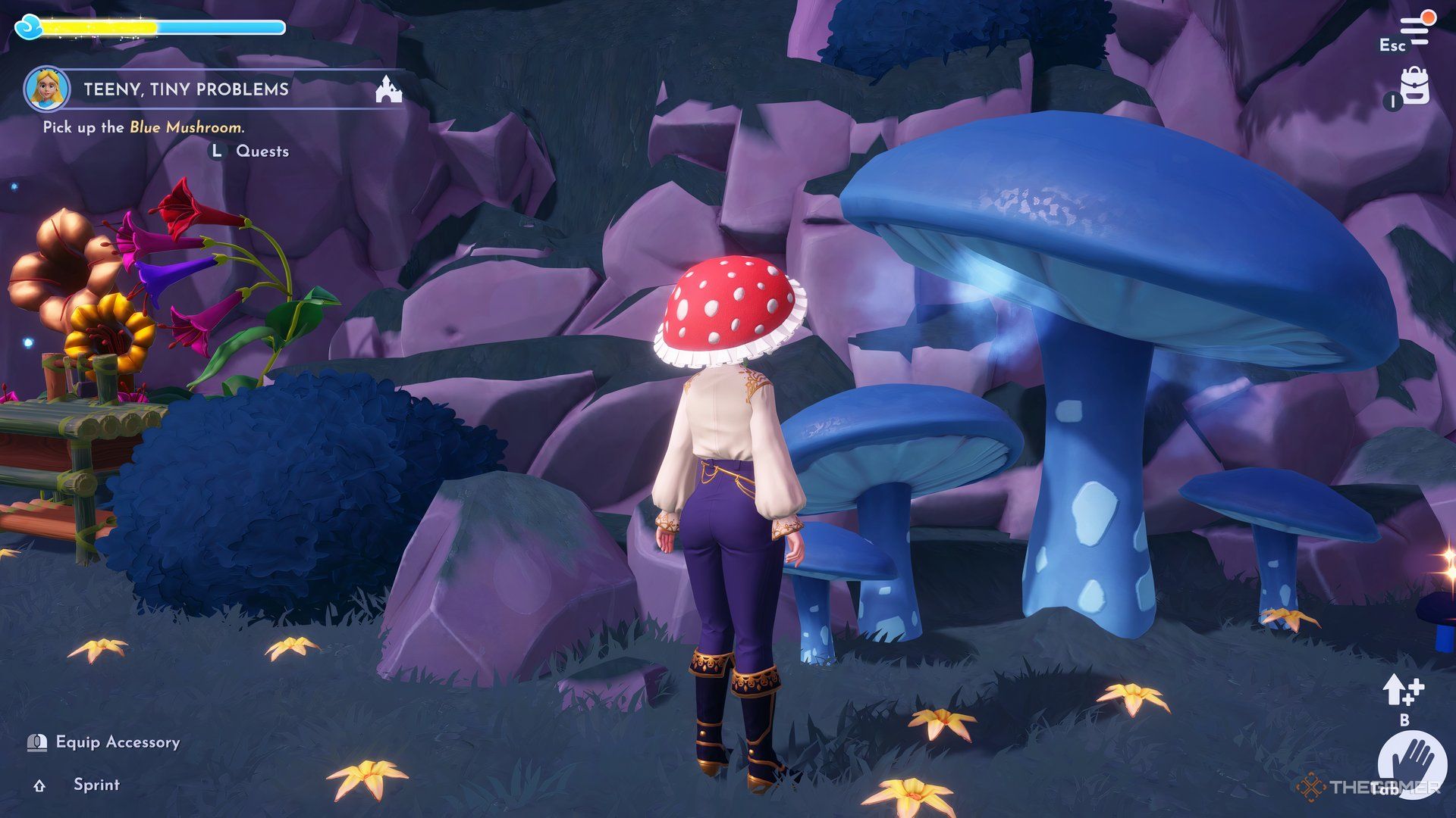 Disney Dream Light Valley is looking for a large blue mushroom.