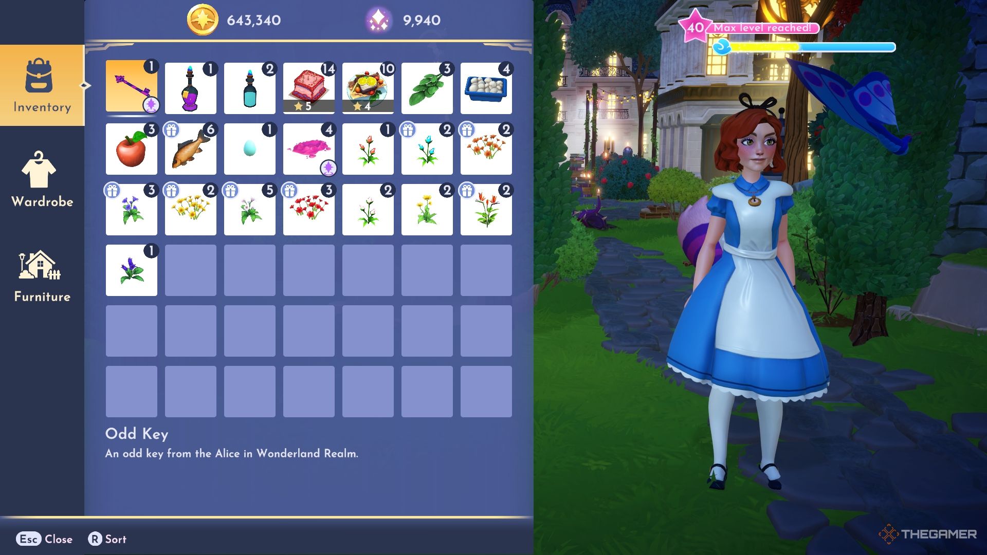 The odd key in the player inventory.