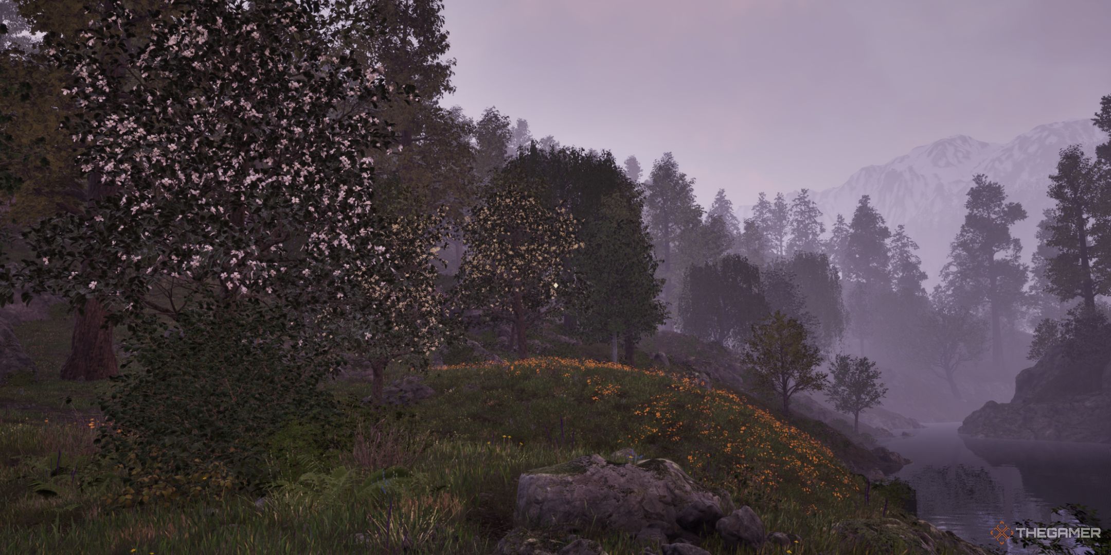 از کجا می توان Saveri را در Oblivion Remastered پیدا کرد