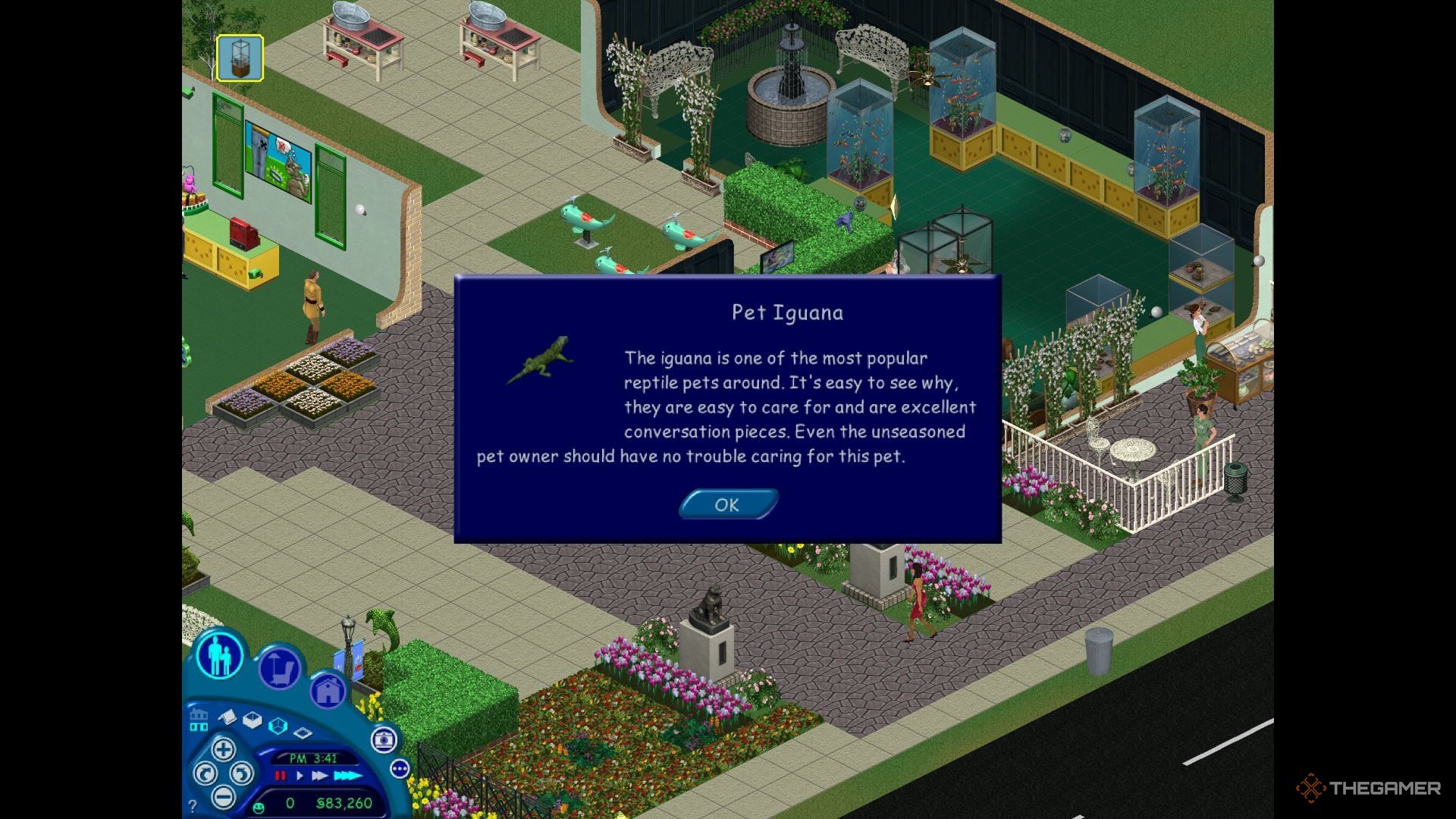 Information about iguanas as small pets in The Sims 1.
