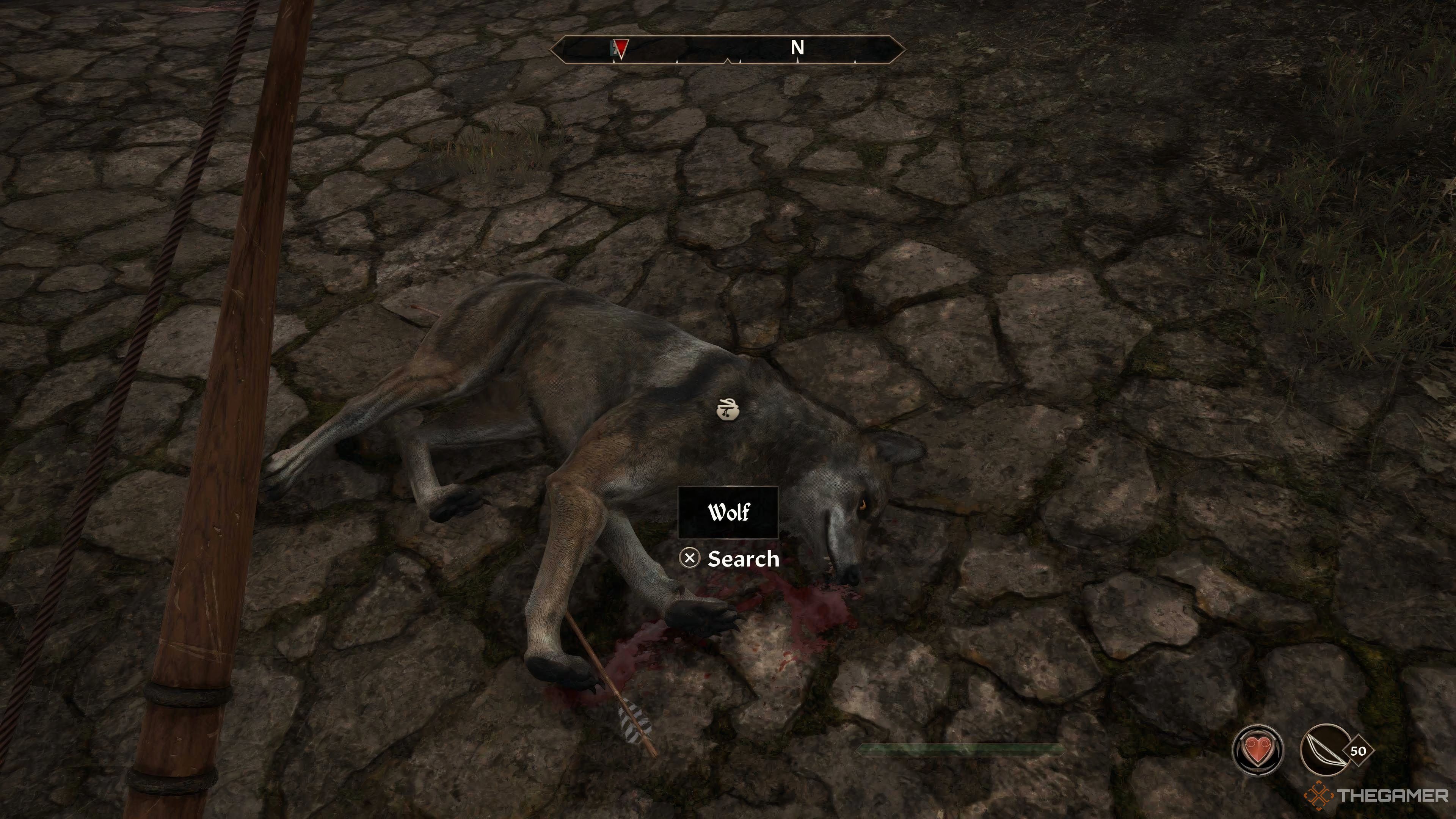 A wolf lying dead on the floor after being shot with an arrow in Oblivion Remastered.