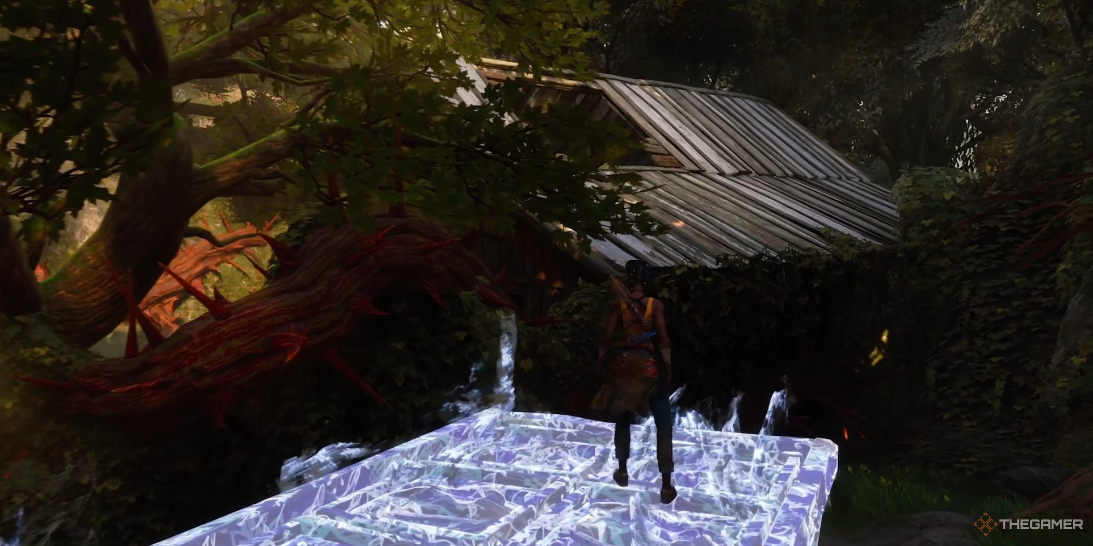 Hazel is looking at the warehouse where there is a healthy health in the south of the night.