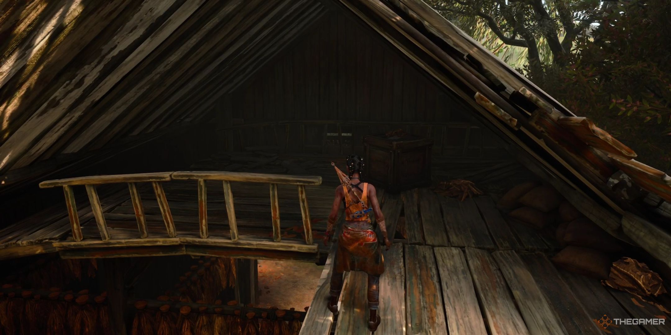 Hazel is watching the fourth health site in the south of the night.