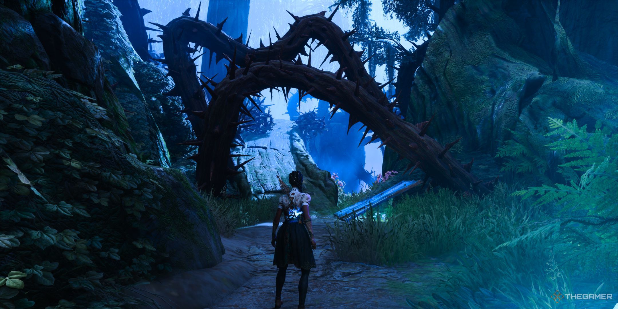 A tree leading to eight health tasting on the south of the night.