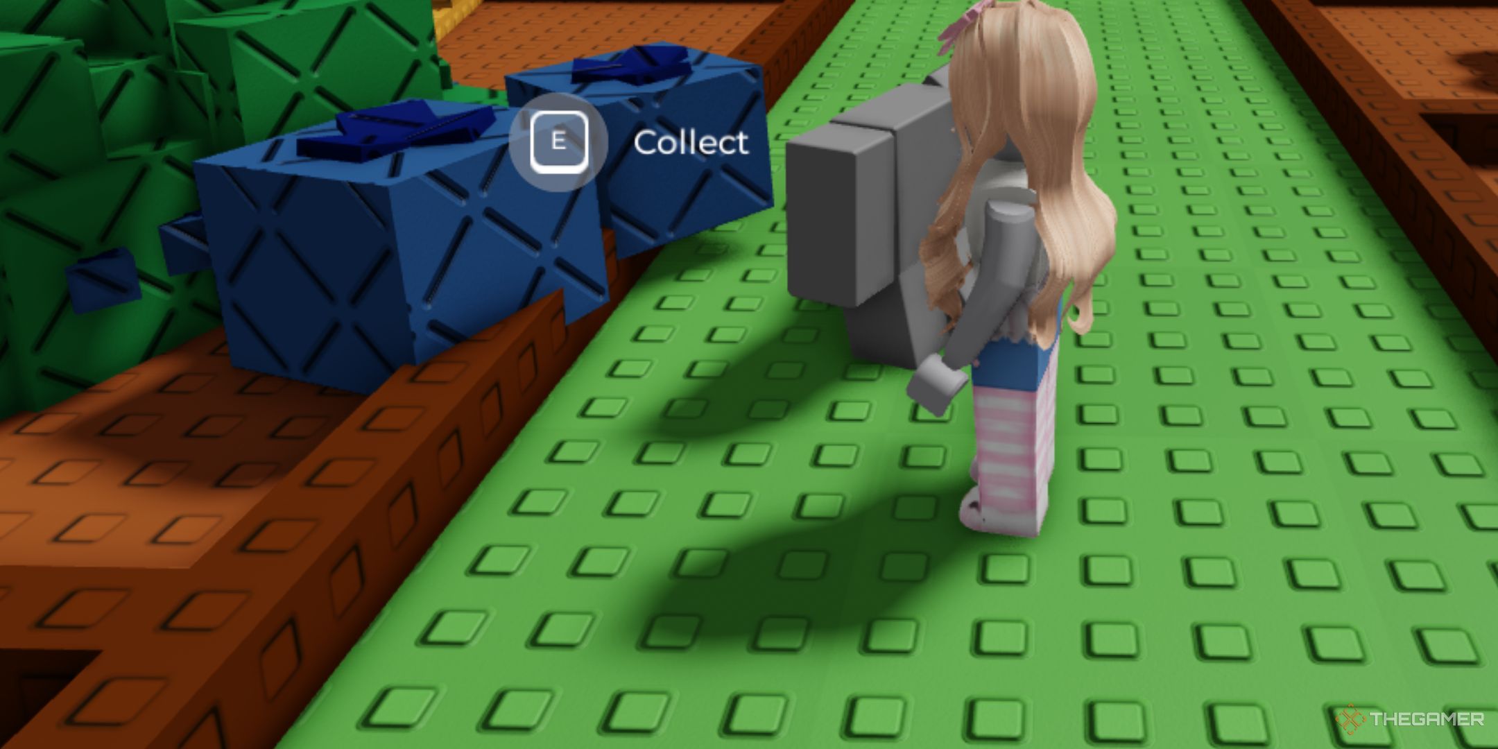 The player is standing next to the large blueberries in Roblox: Grow A Garden.