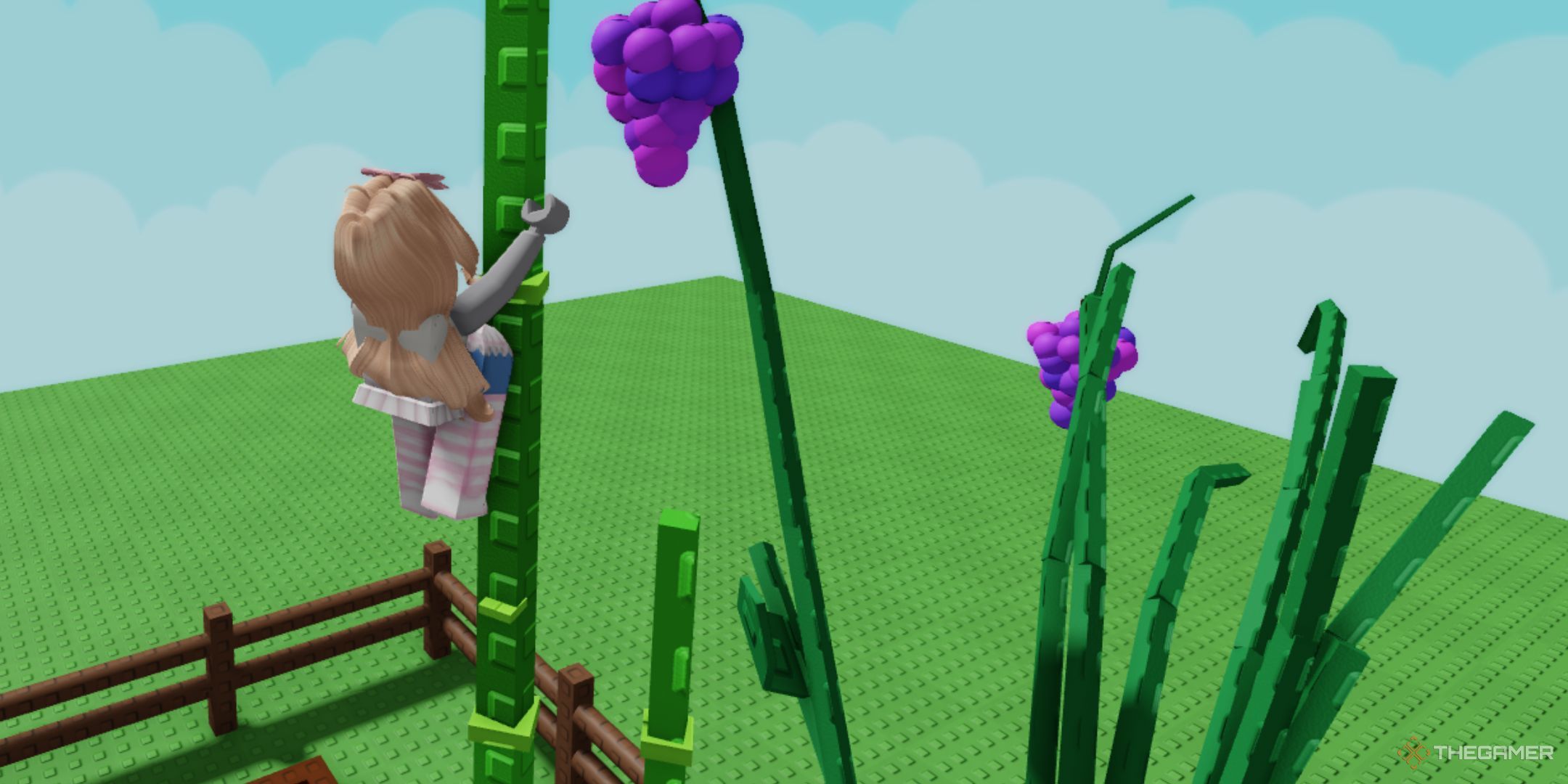 Climbing bamboo in Roblox is near the grape: Grow a garden.