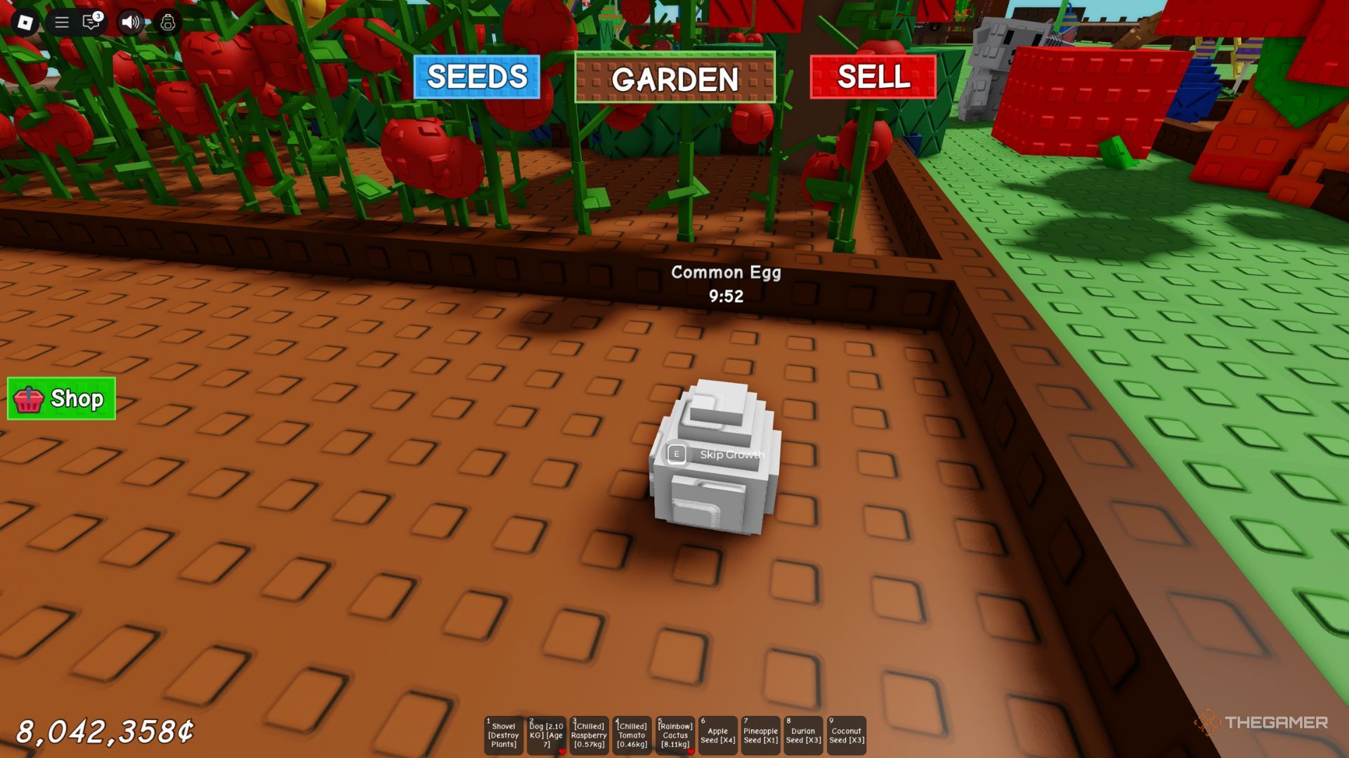 The character of the player shows a common egg in Grow and Garden in his garden.