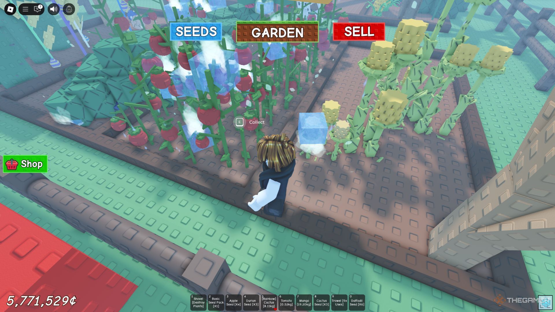 The role of the player shows his garden during the cold weather in the garden of Guru.