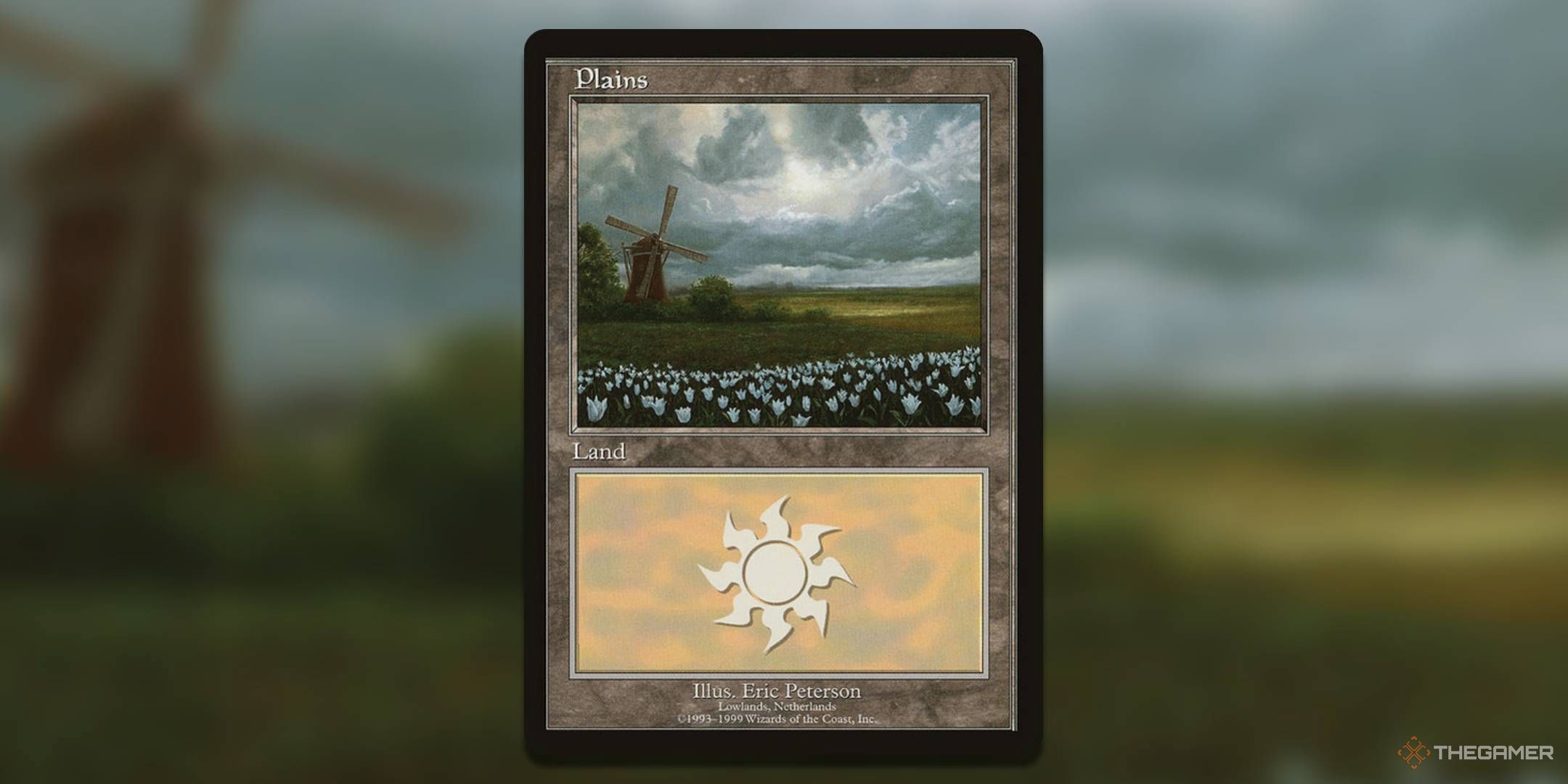 MTG Main Land Cards of Eric Peterson's European Land Program 9