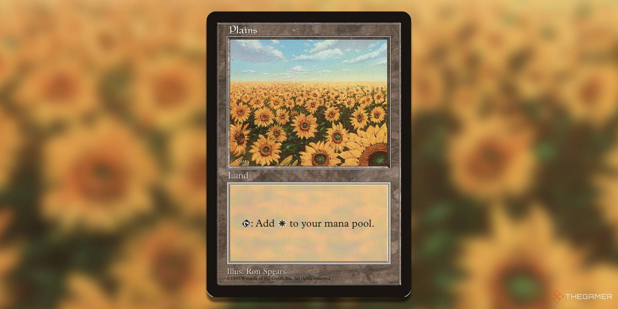 MTG Main Land Card Plain Ron Spears Asian -Tsokhakian Program 4