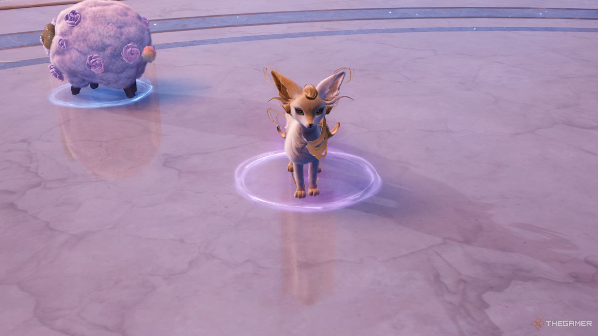 Nikki has been transformed into an animal in Nikki.