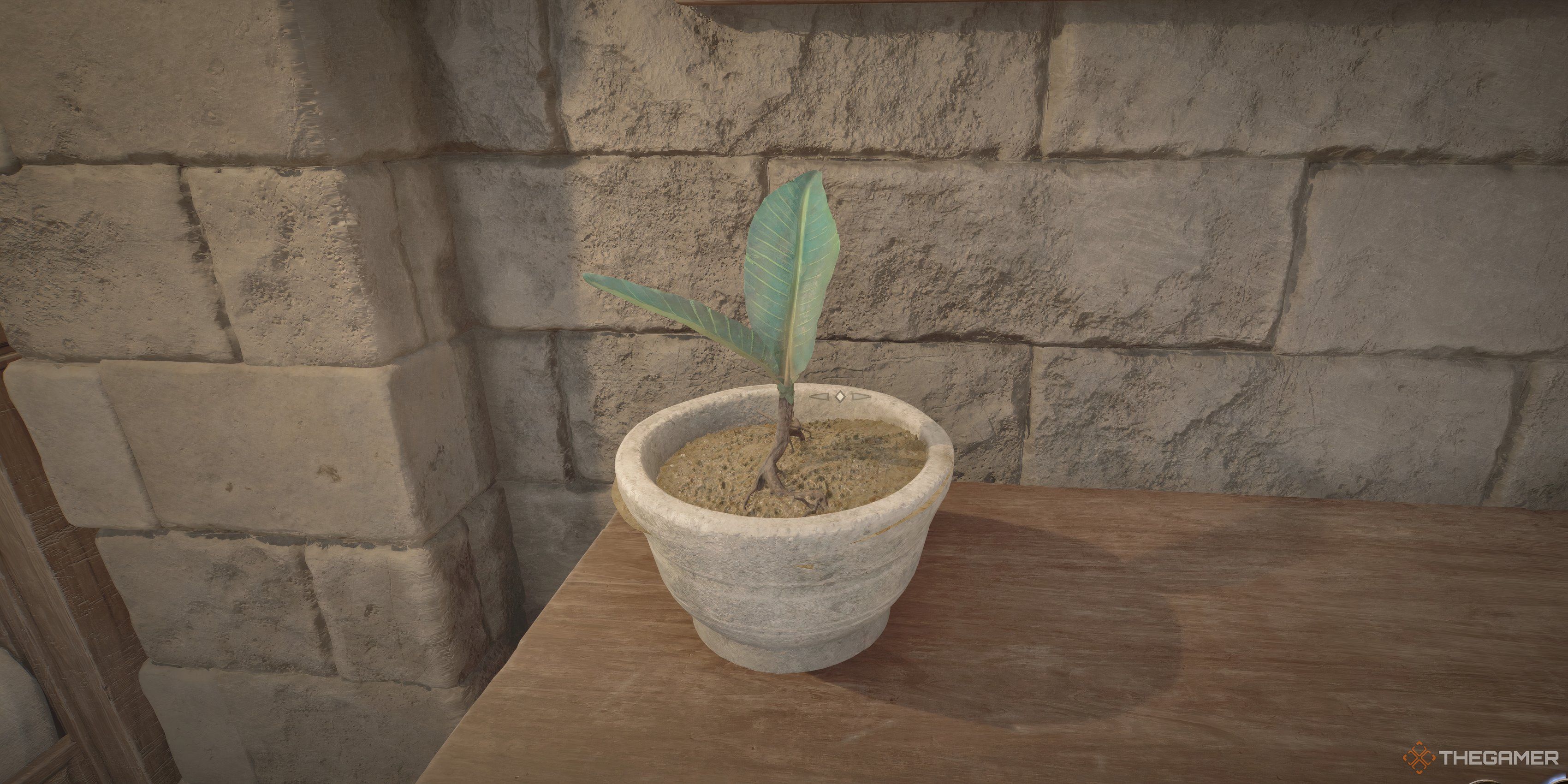 Nirnroot روی یک میز در Oblivion Remastered نشسته است.