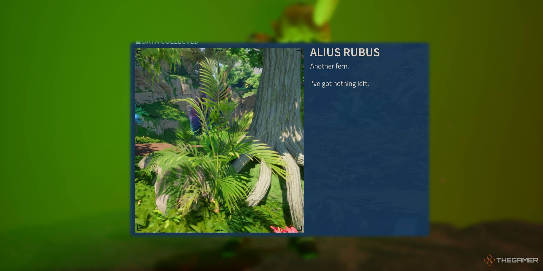 Revenge of the Savage Planet scanner description Alius Rubus fern.