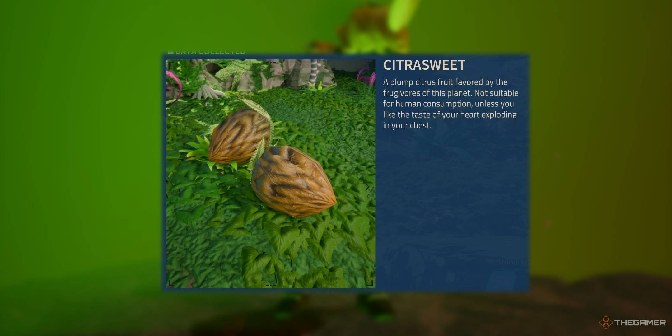 Revenge of the Savage Planet scanner description for the Citrasweet with explosion warning.