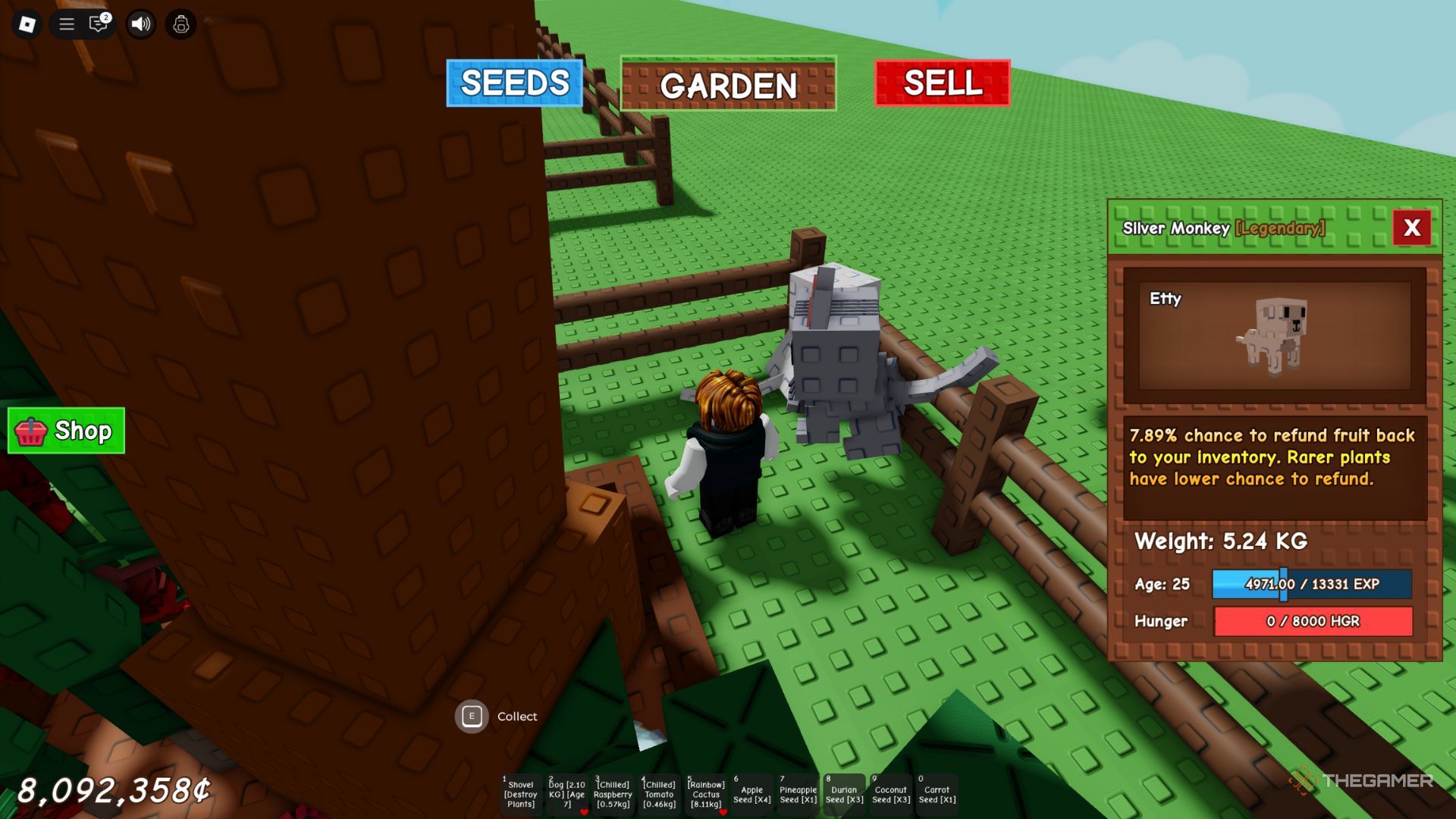 The character of the player shows a silver monkey in Grow and Garden in his garden.