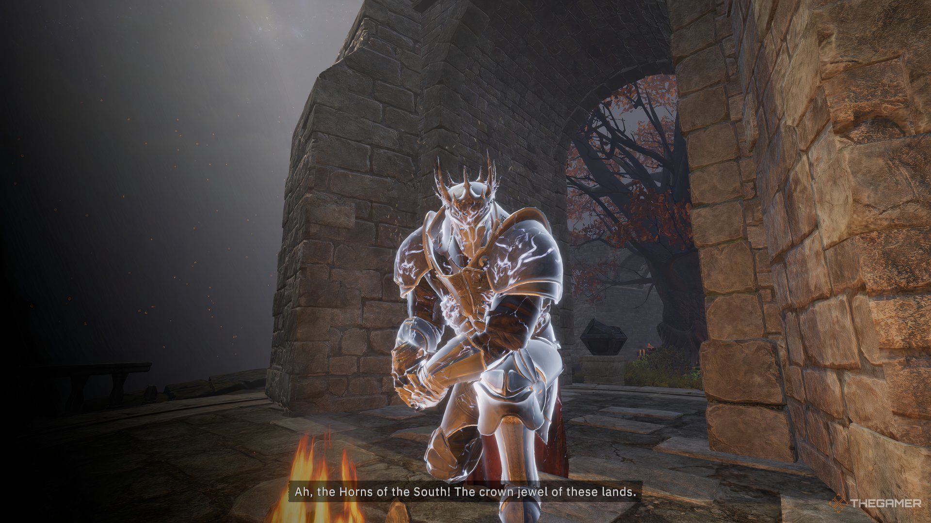Evalon Arthur's stained Girl Zoom entered the campfire.