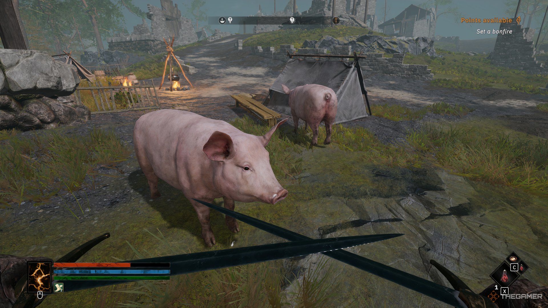 In a field, two pigs of two pigs fall into the grille grille.